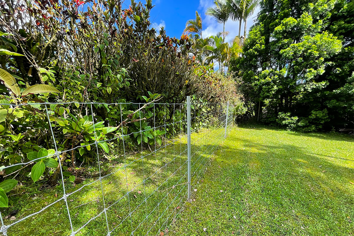 13-1291 Kahukai St Property Photo 29