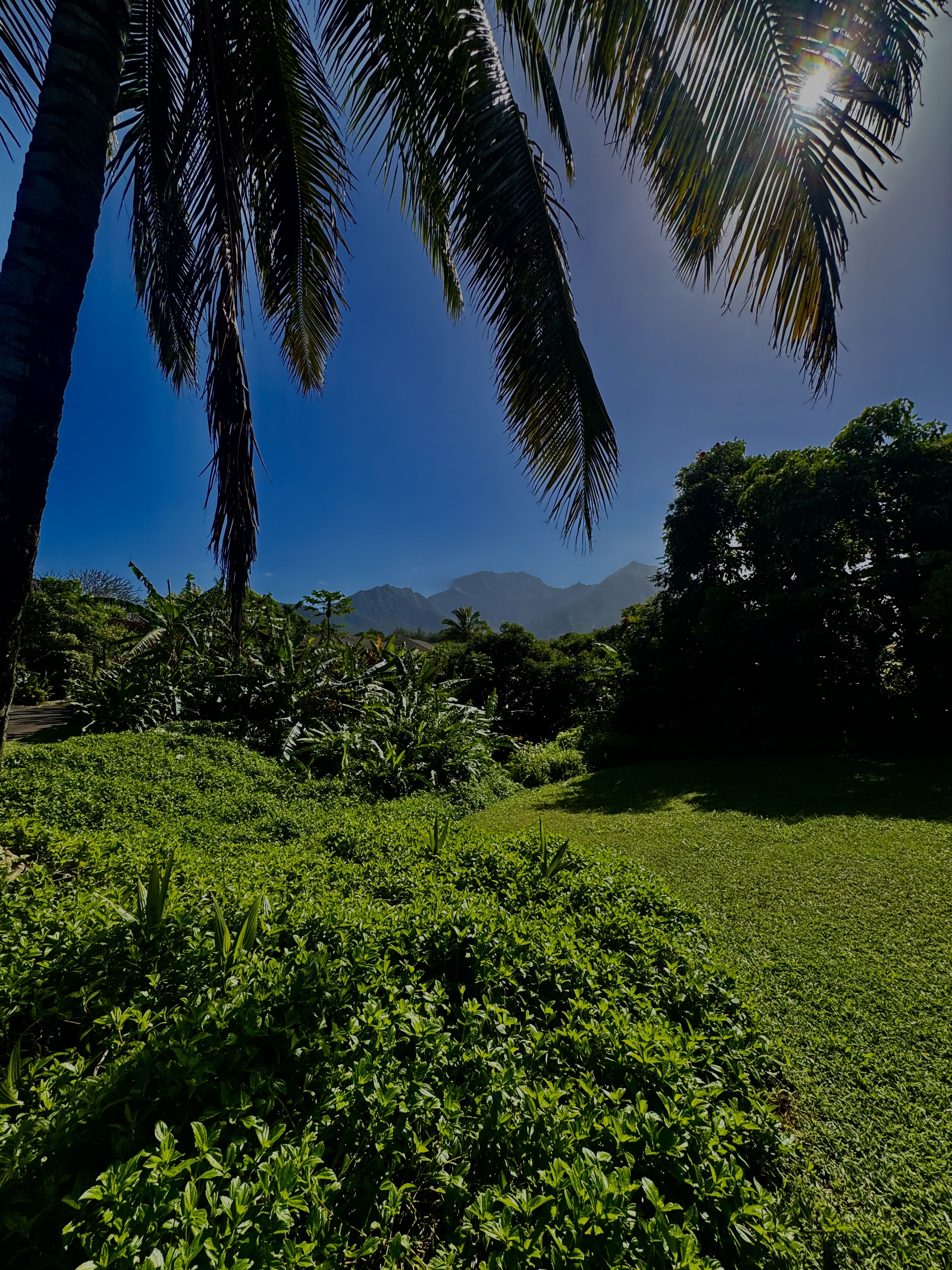 5339 Honoiki Rd Property Photo 6