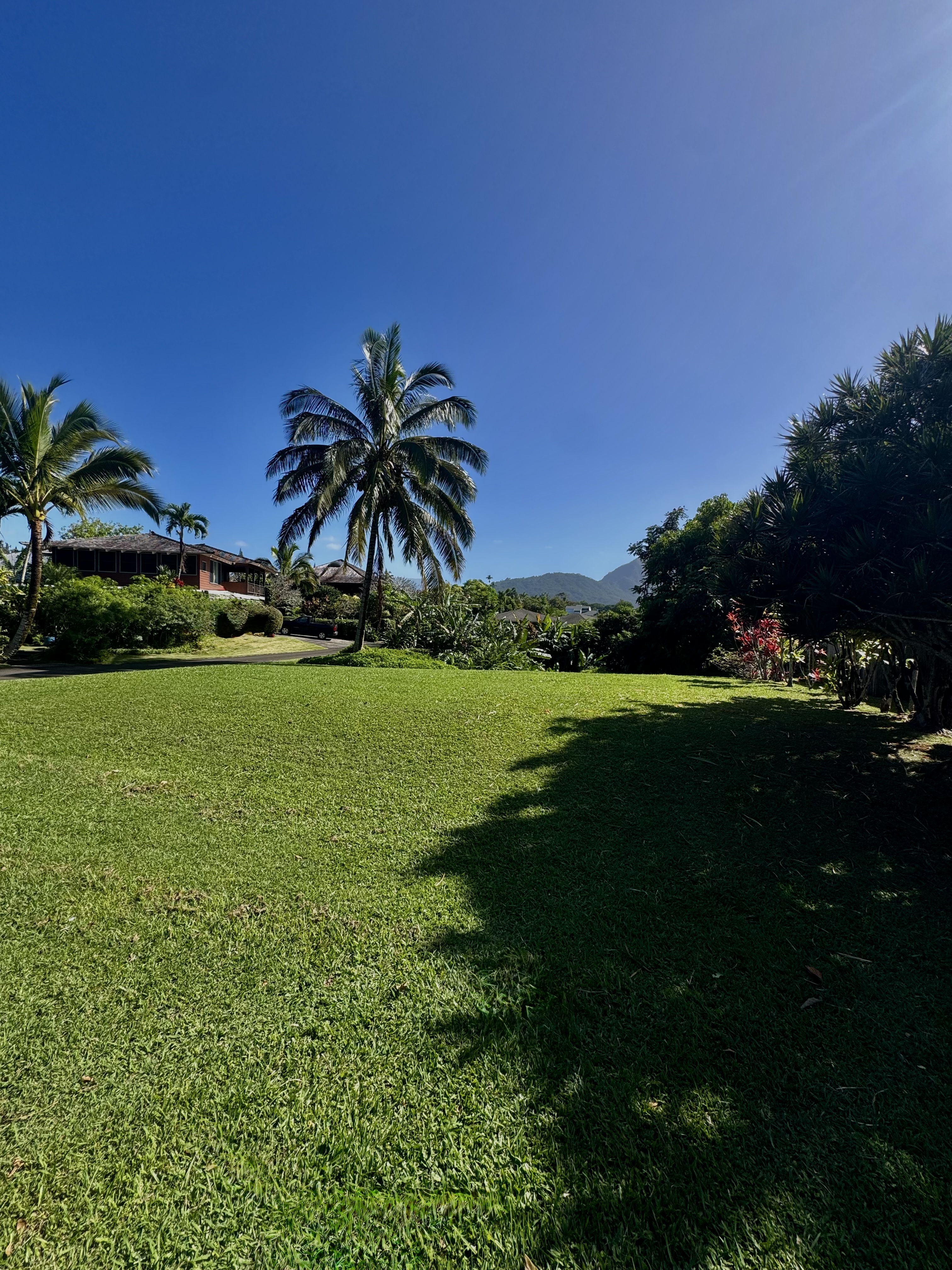5339 Honoiki Rd Property Photo 8