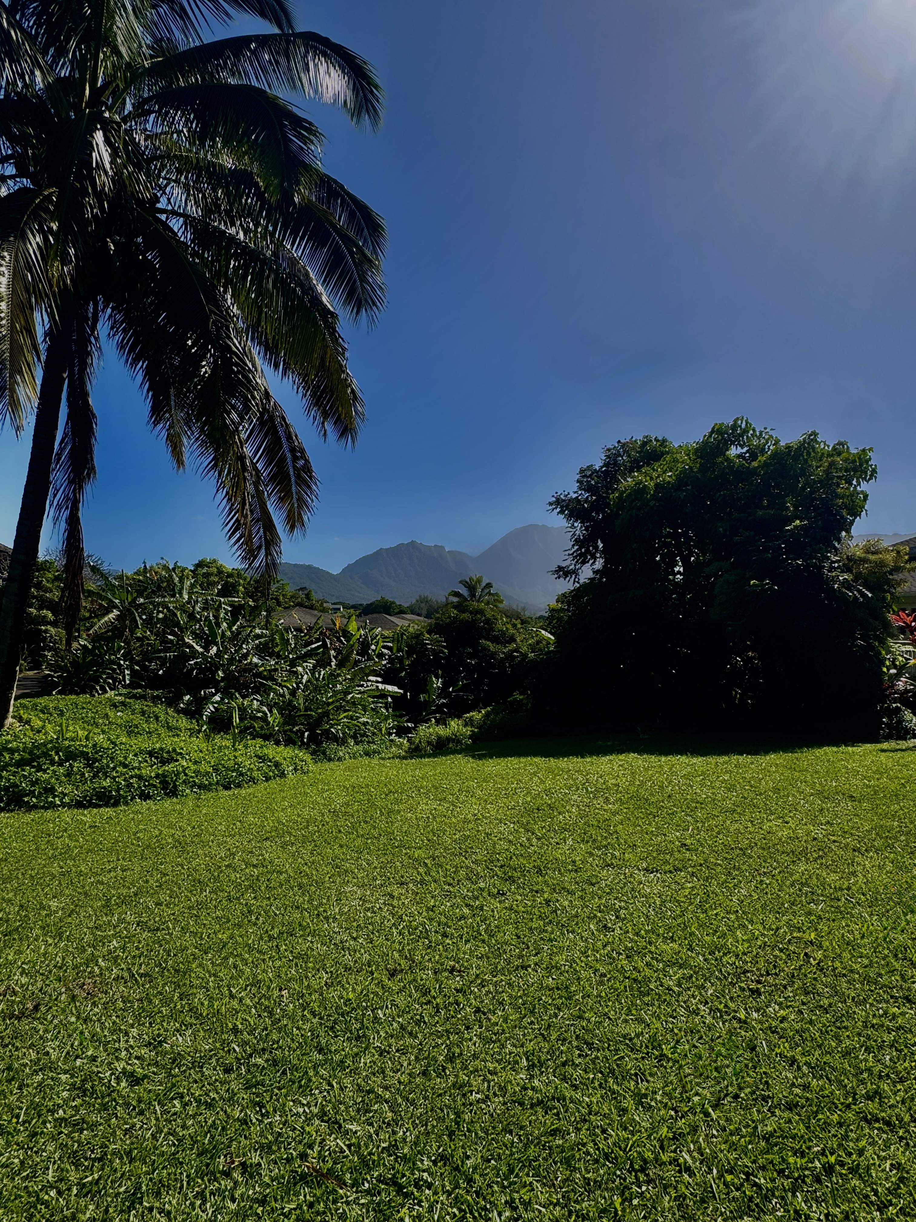 5339 Honoiki Rd Property Photo 9
