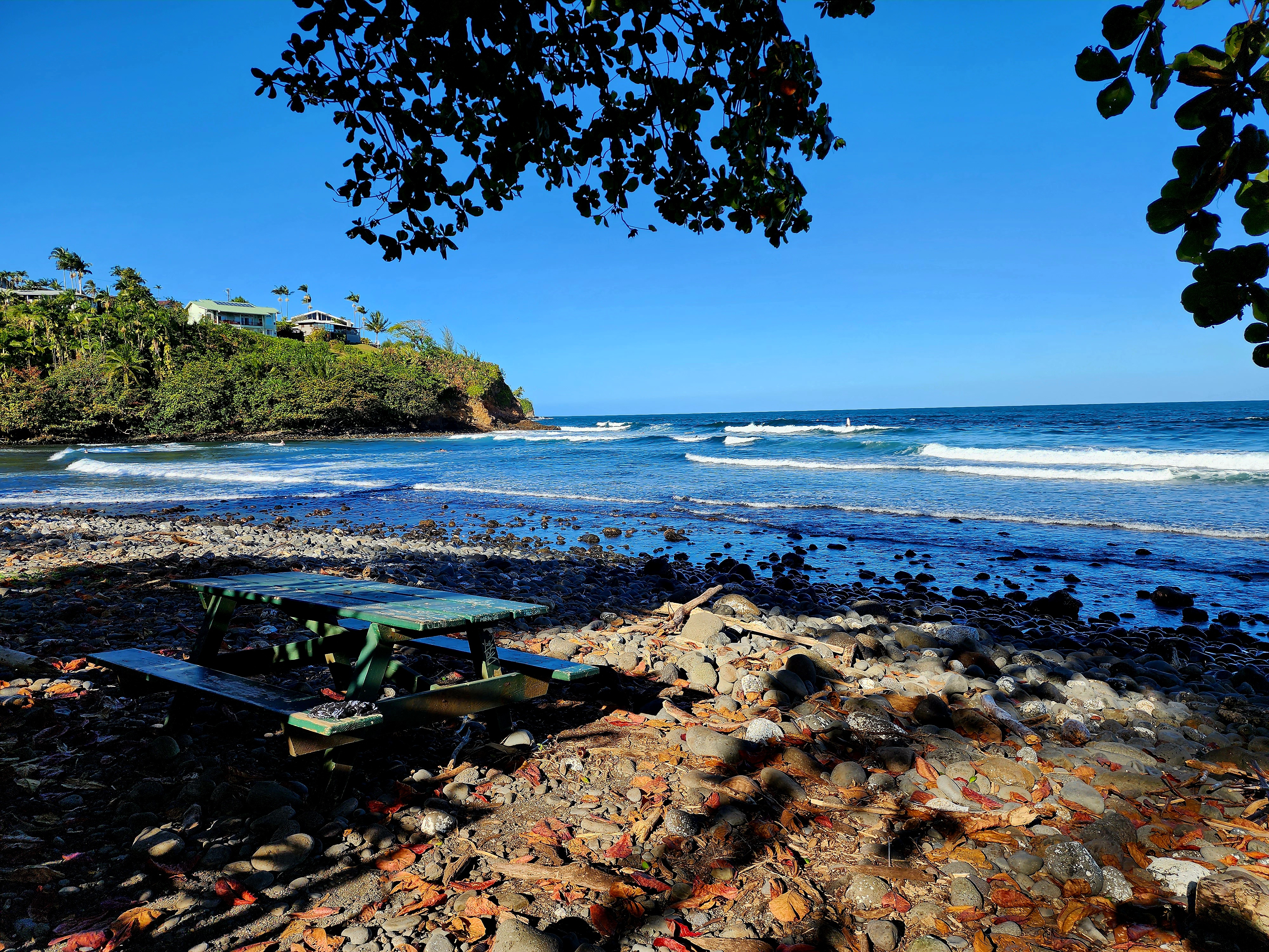 Puia Road Property Photo 4