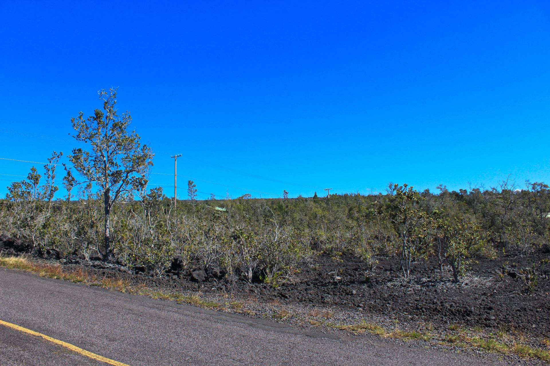 Orchid Pkwy Property Photo 5
