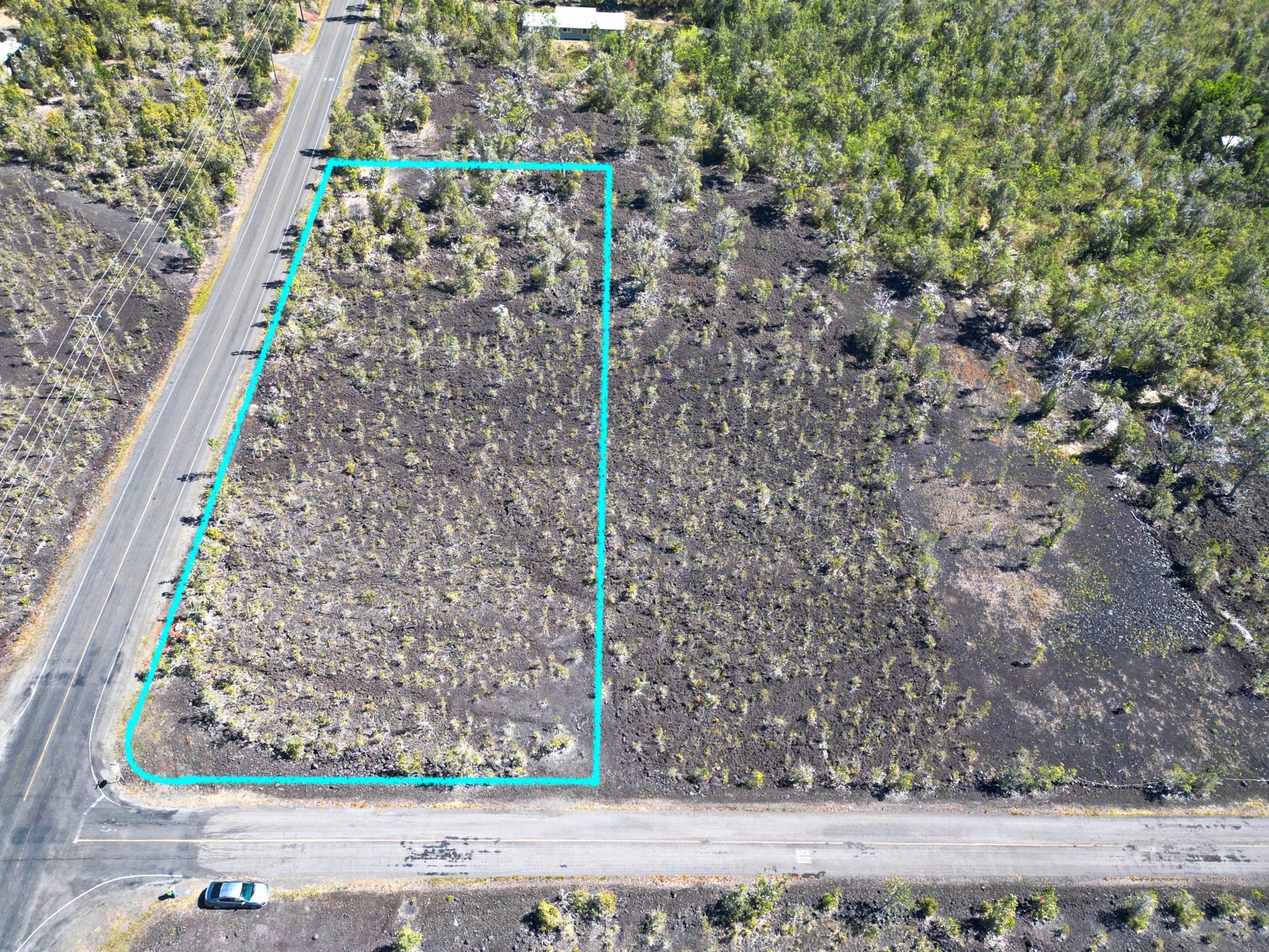 Orchid Pkwy Property Photo 15