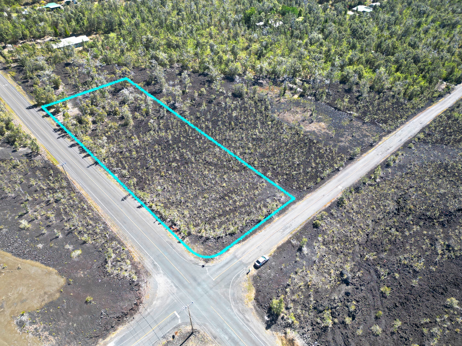 Orchid Pkwy Property Photo 16