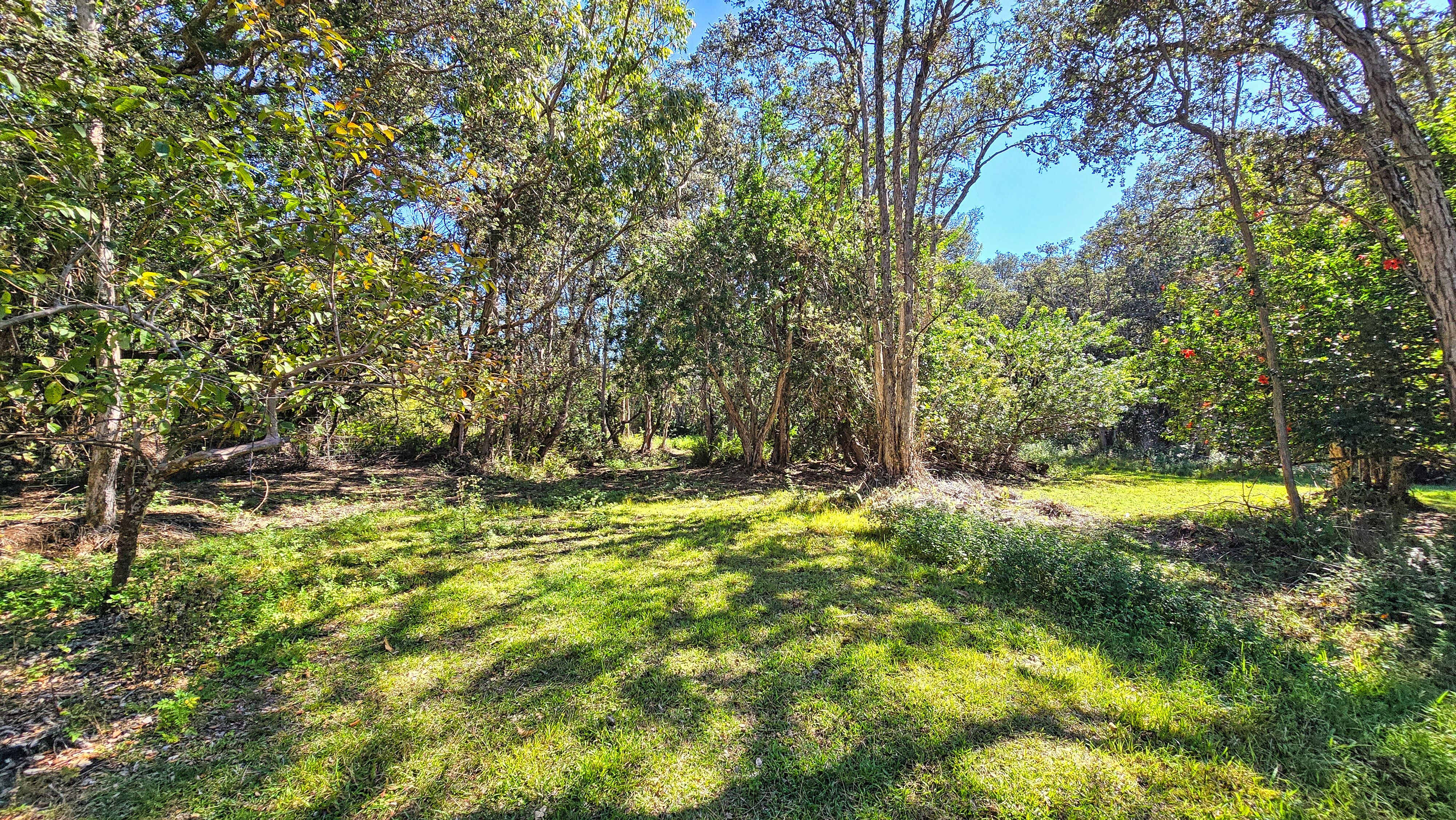 94-2664 Lorenzo Rd Property Photo 21