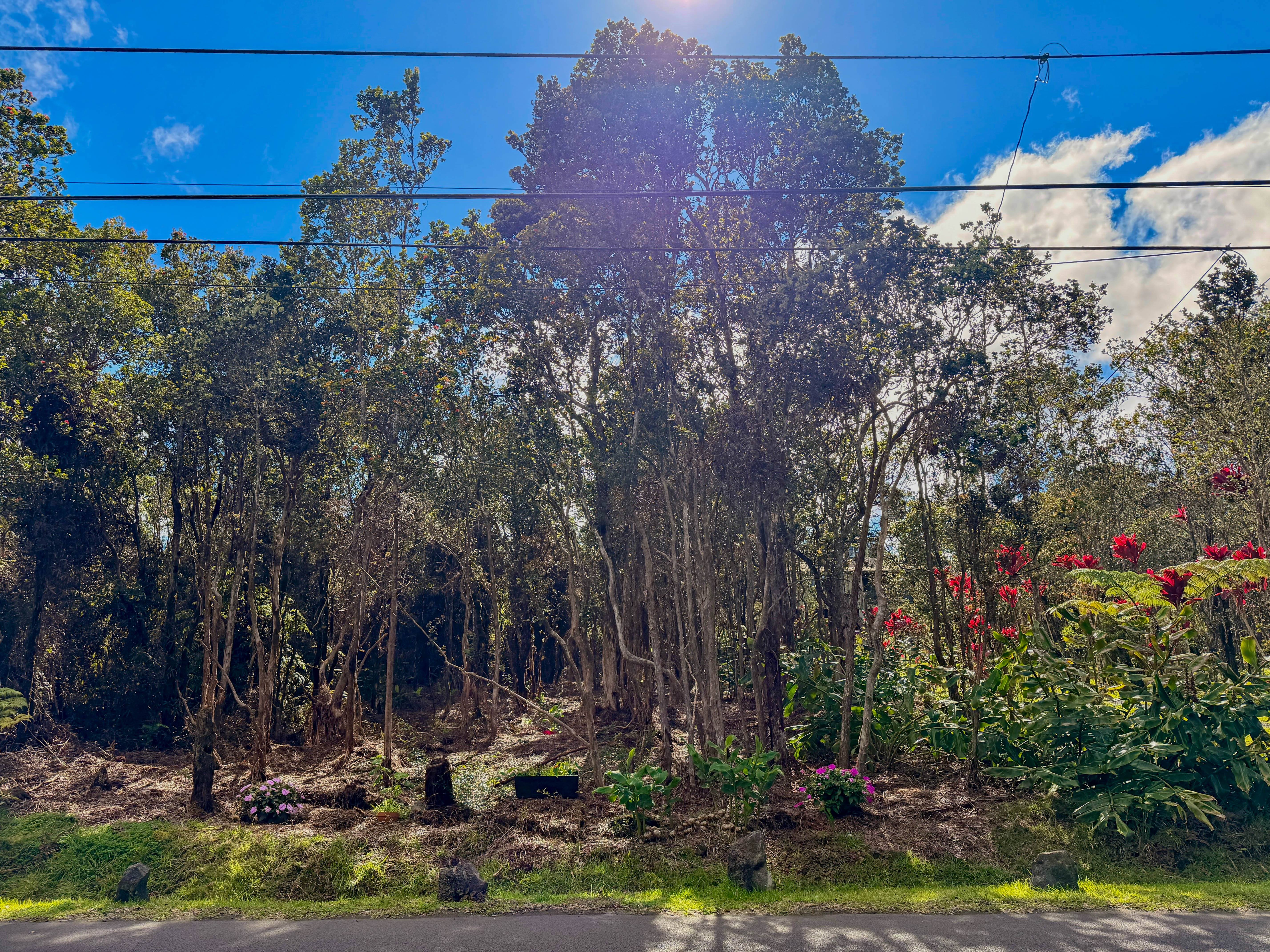 Nahelenani St Property Photo 1