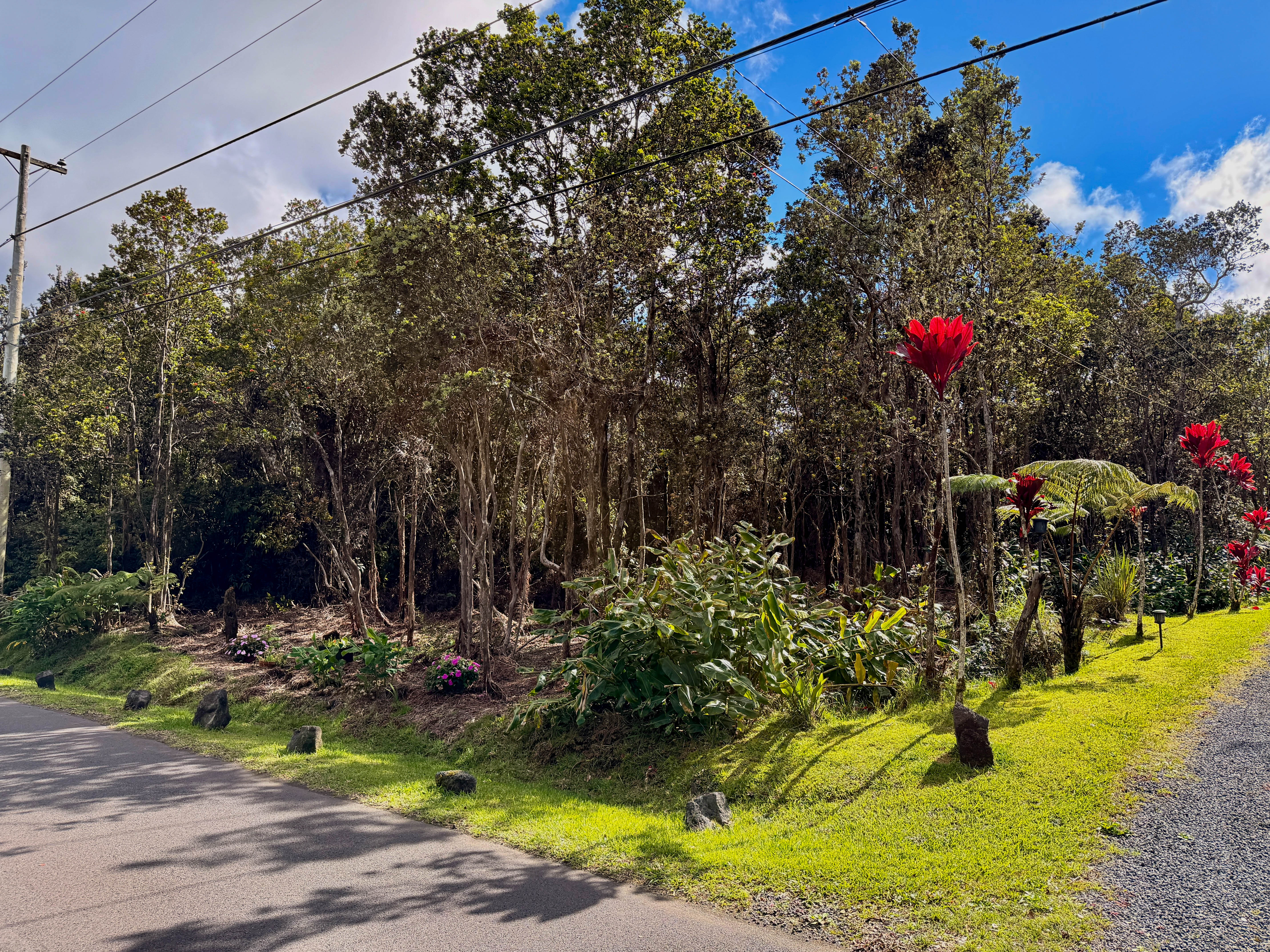 Nahelenani St Property Photo 2
