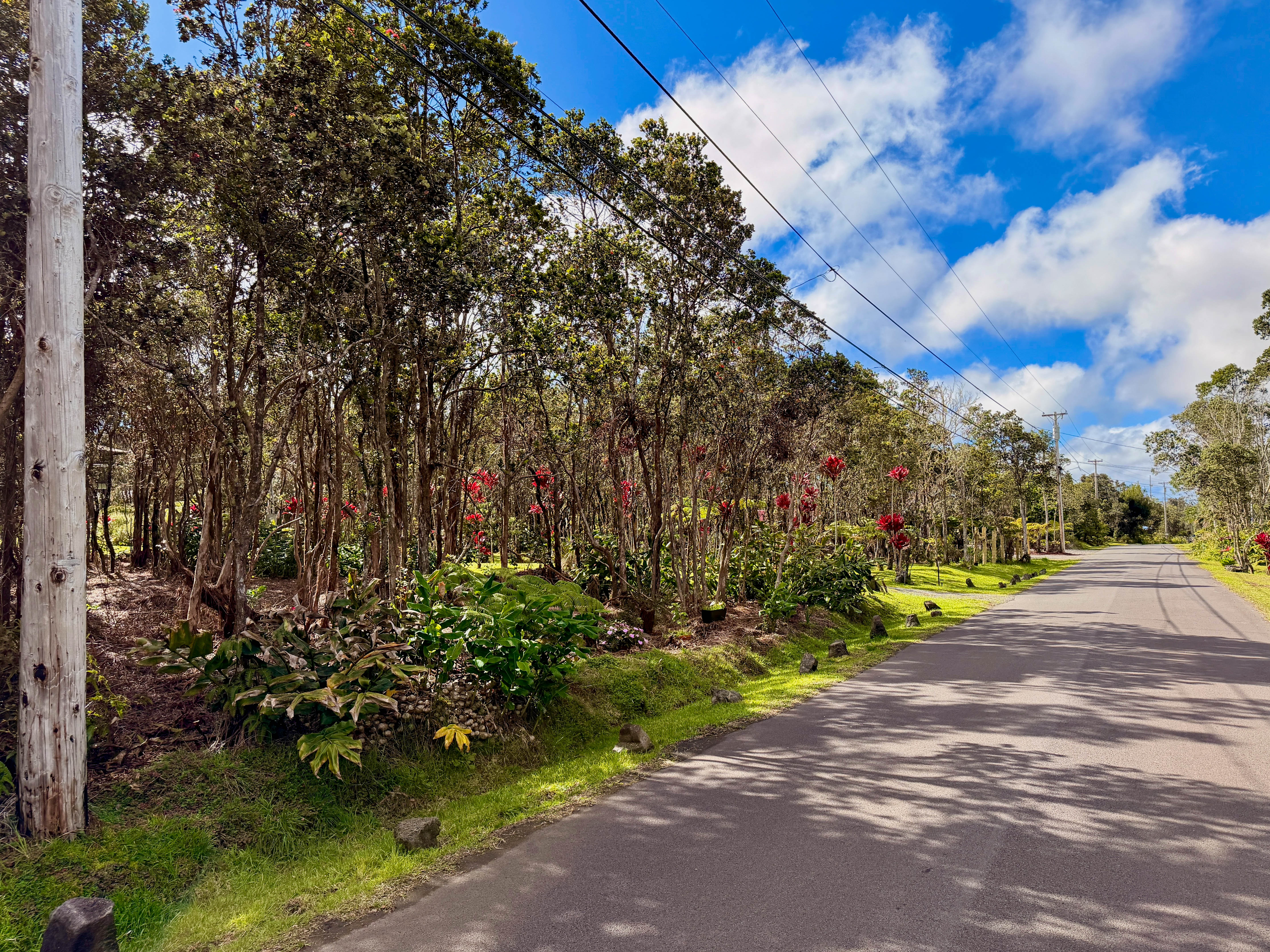 Nahelenani St Property Photo 3
