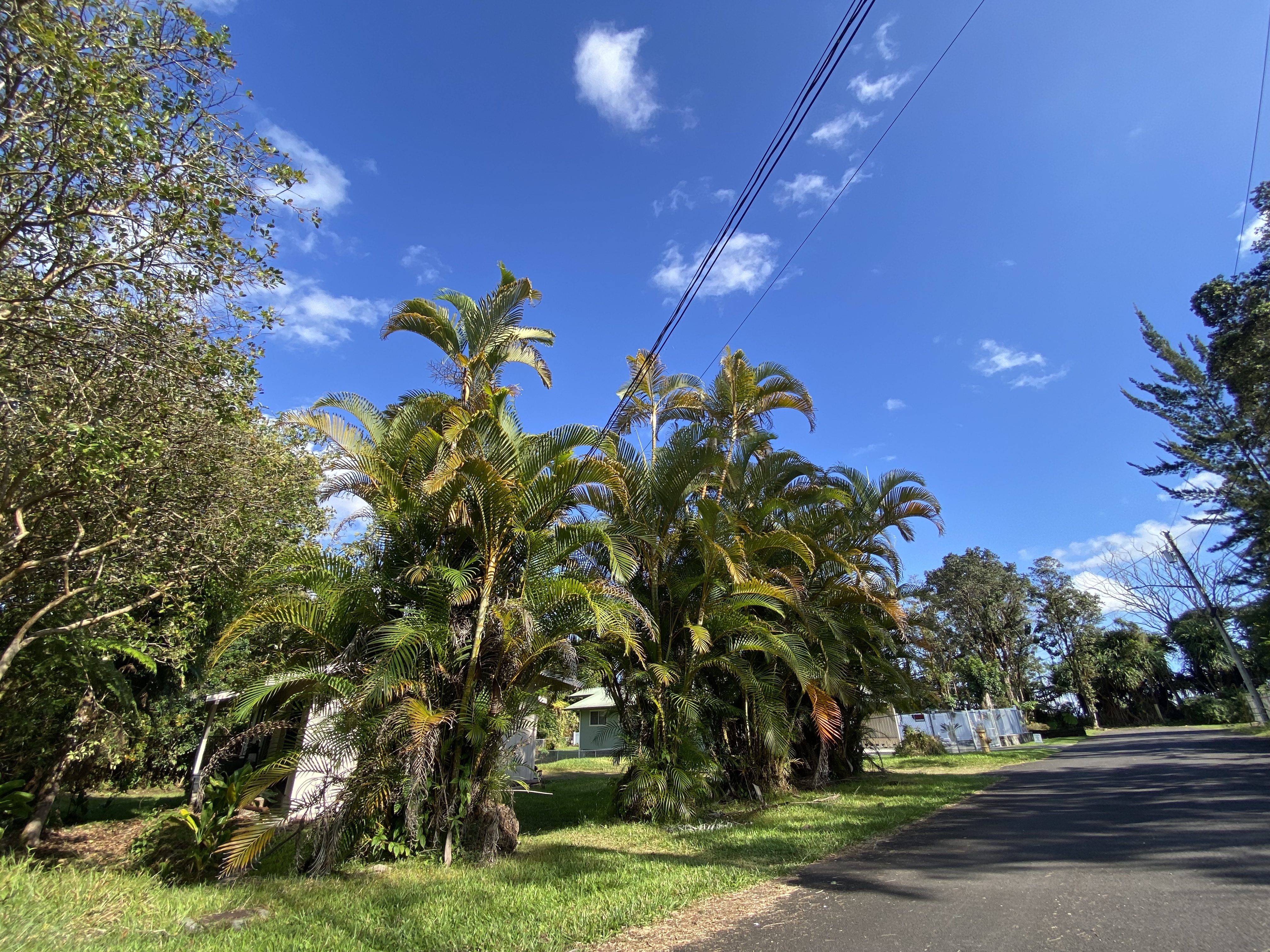 18-7848 Ekika Rd Property Photo 26
