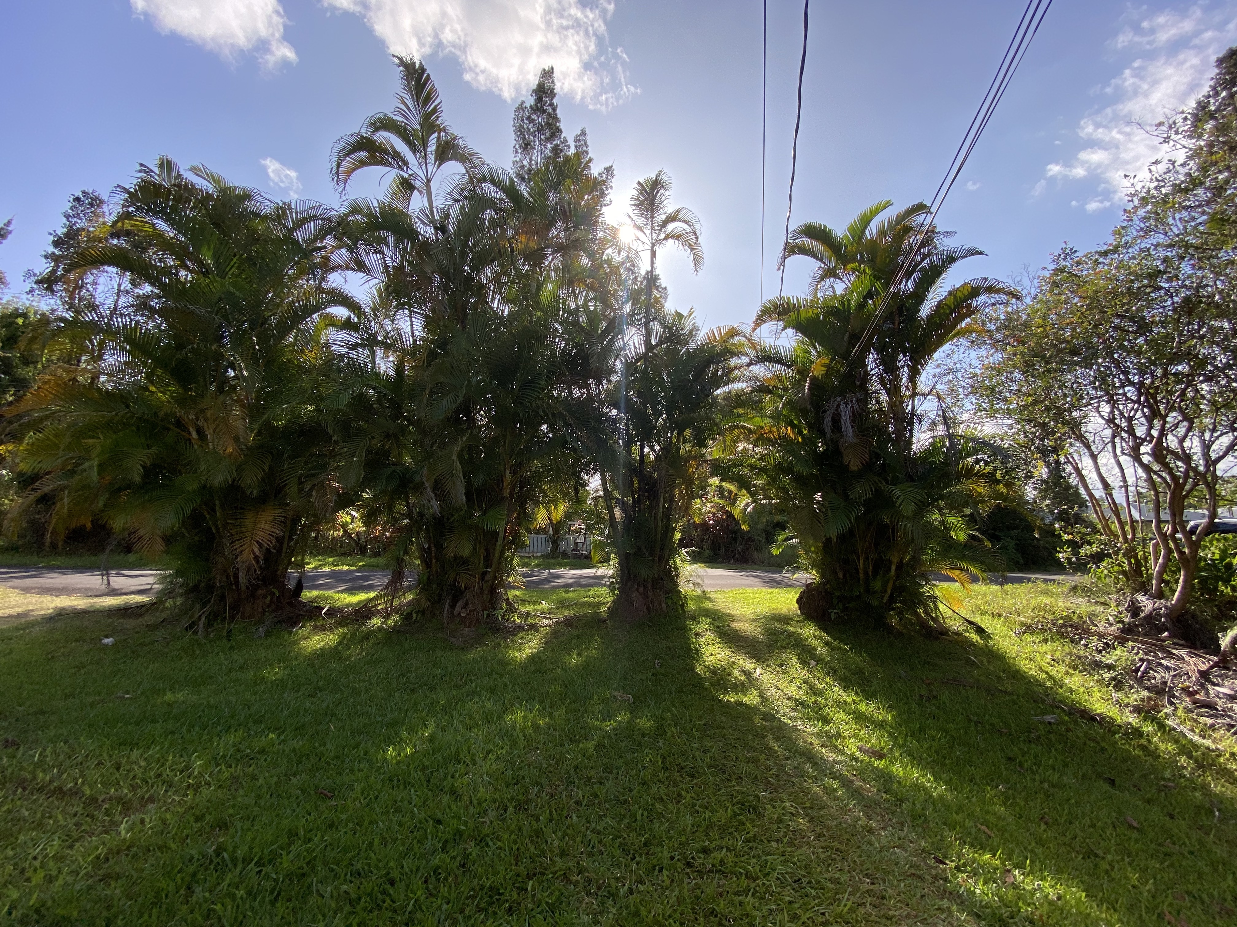 18-7848 Ekika Rd Property Photo 28