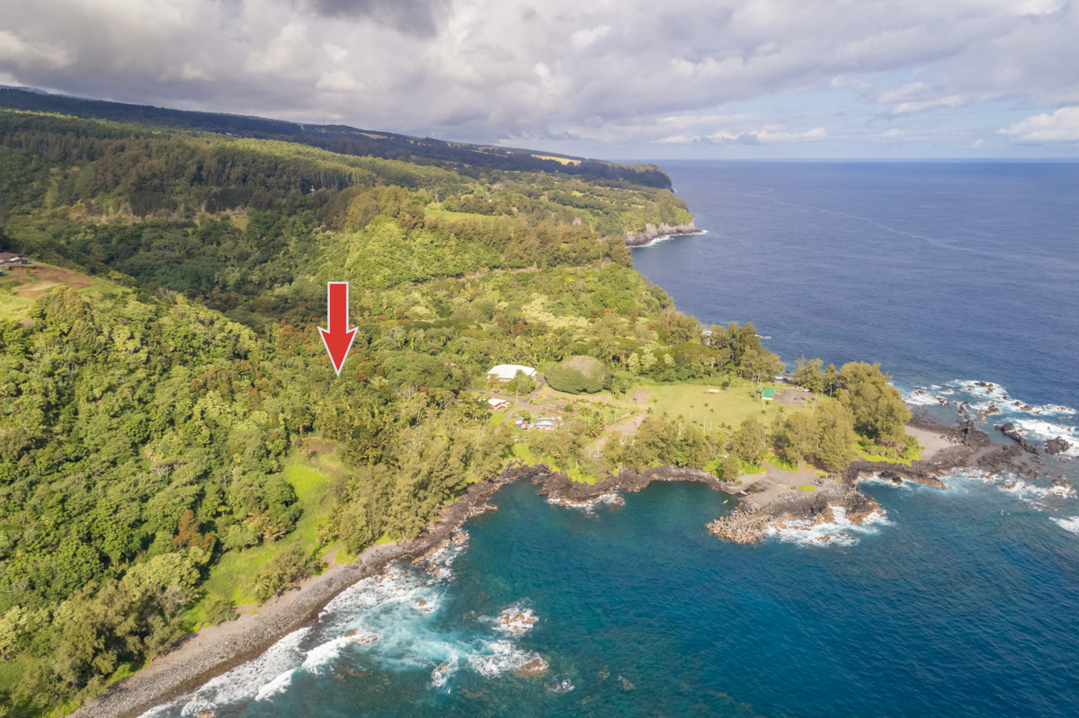 36-1070 Laupahoehoe Point Rd Property Photo 2