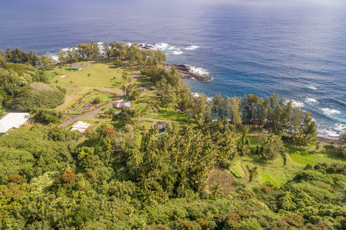 36-1070 Laupahoehoe Point Rd Property Photo 5