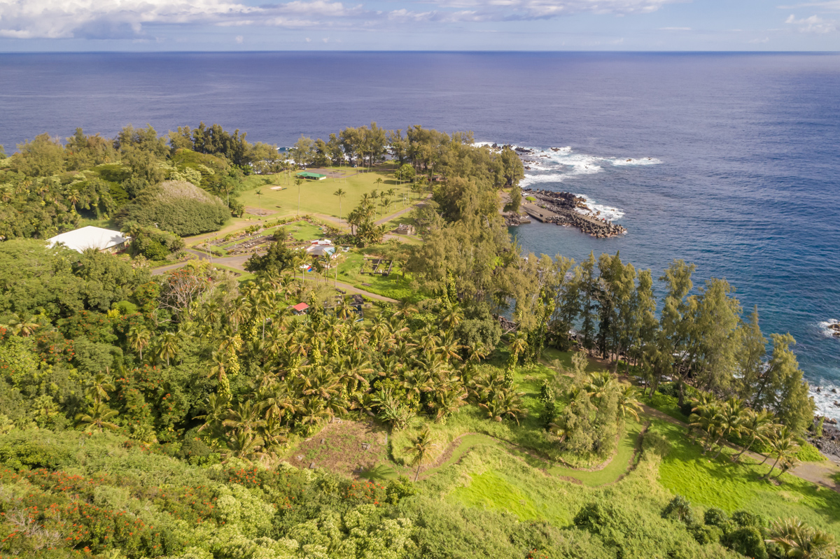 36-1070 Laupahoehoe Point Rd Property Photo 7