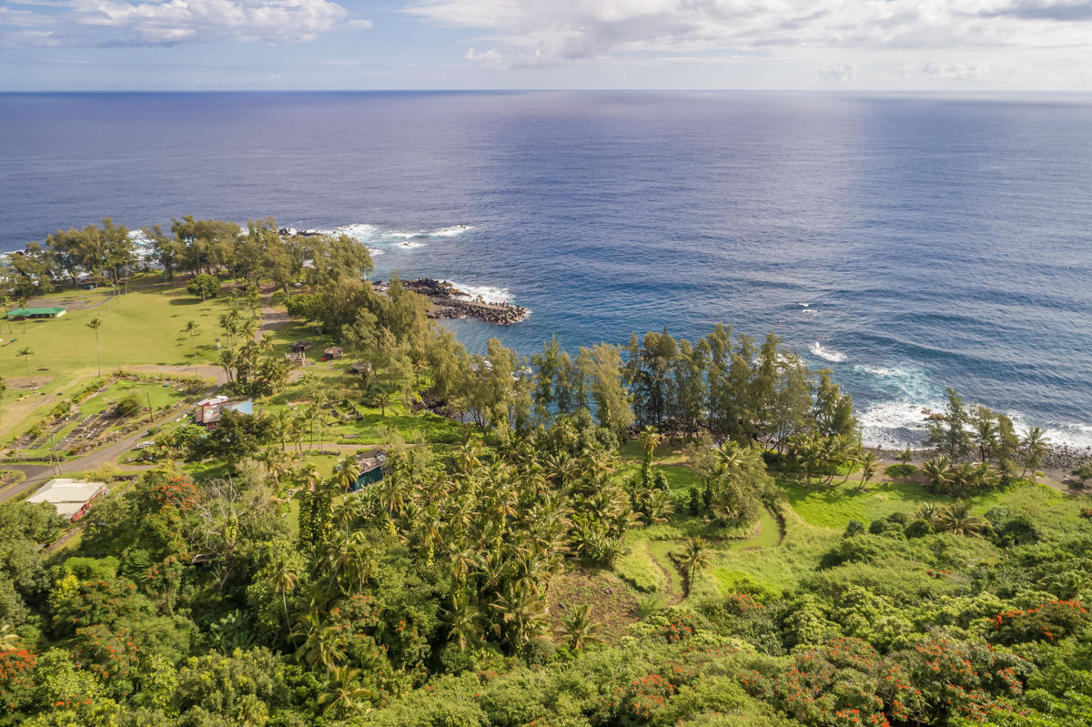 36-1070 Laupahoehoe Point Rd Property Photo 8