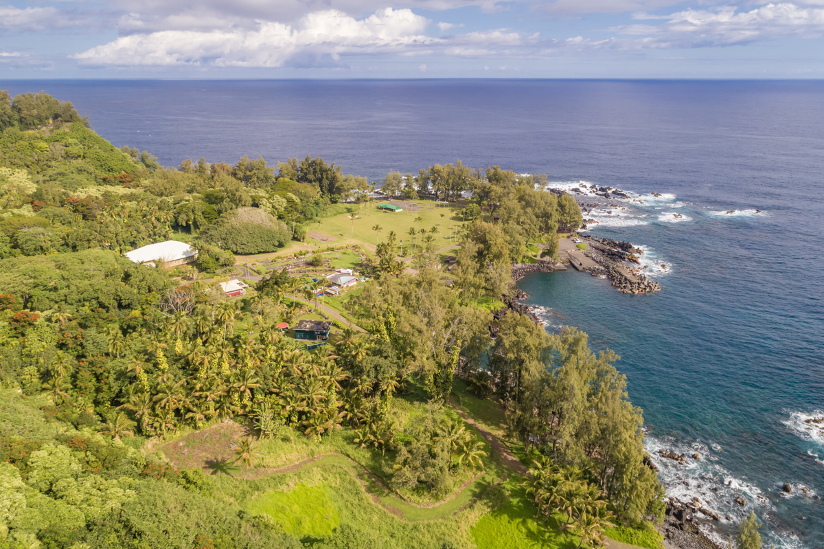 36-1070 Laupahoehoe Point Rd Property Photo 13