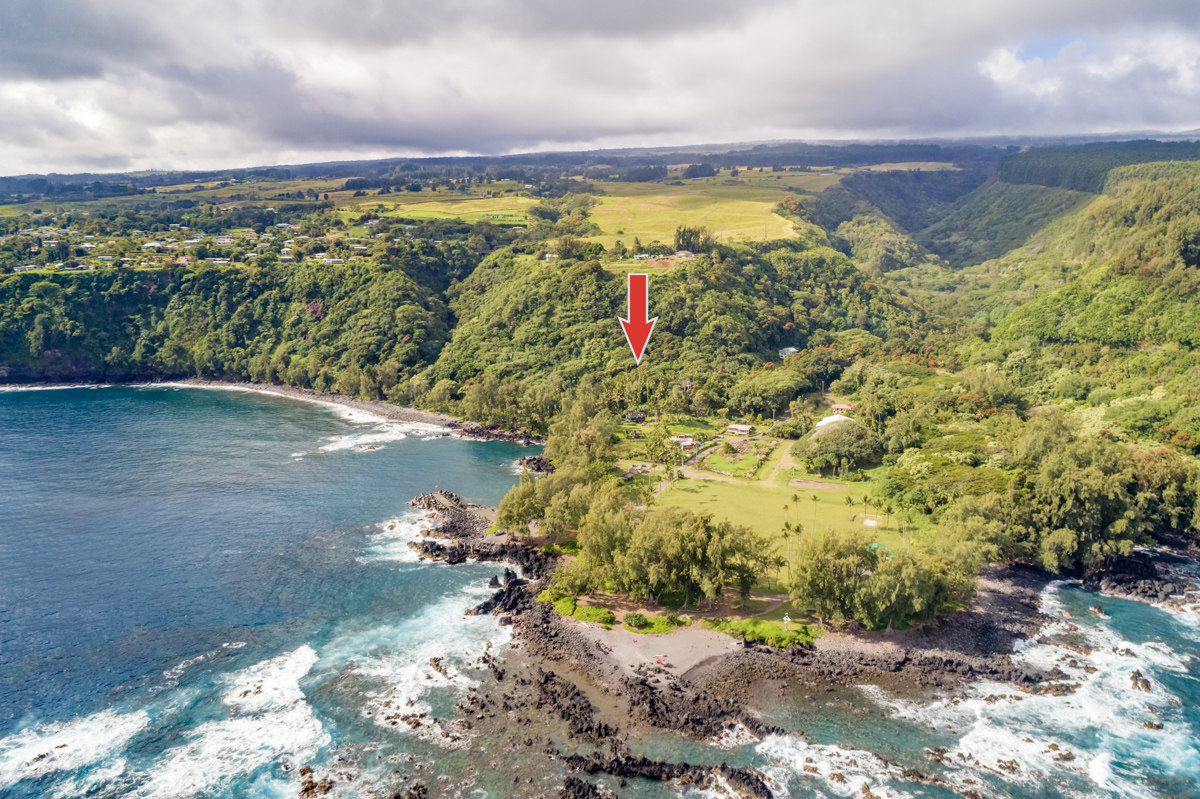 36-1070 Laupahoehoe Point Rd Property Photo 14