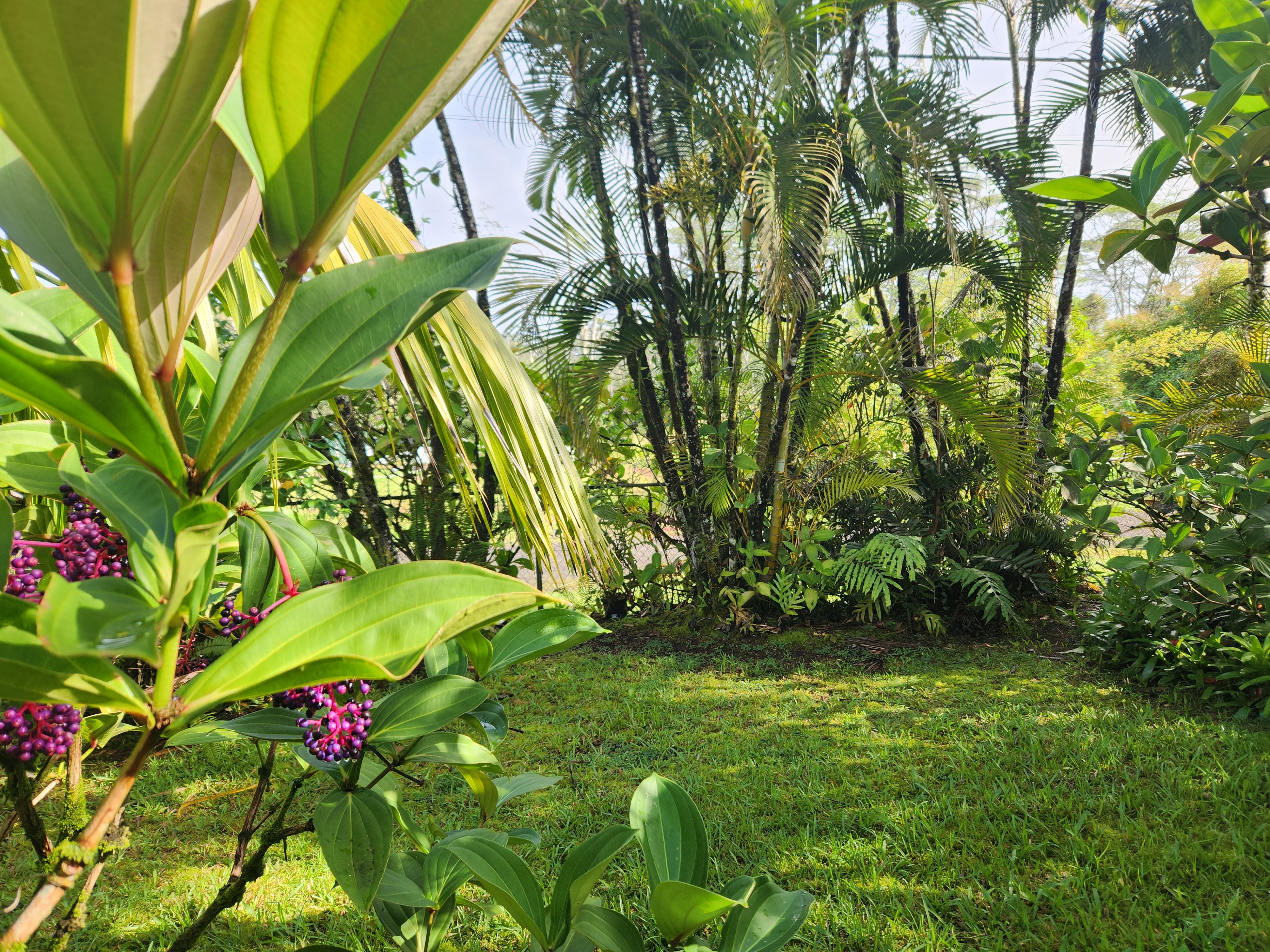 14-3468 Puna Rd Property Photo 24