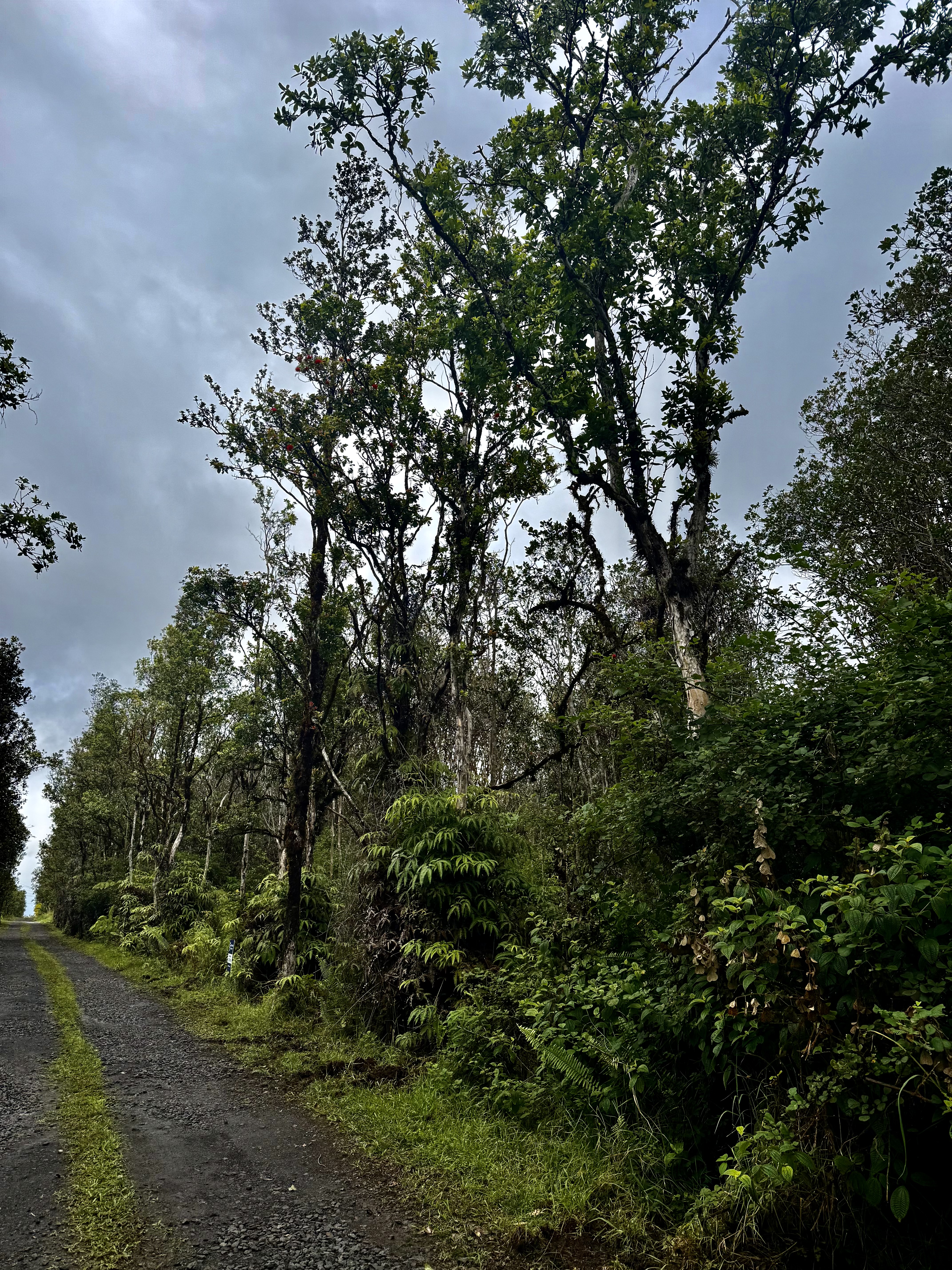 Road 9 Property Photo 1