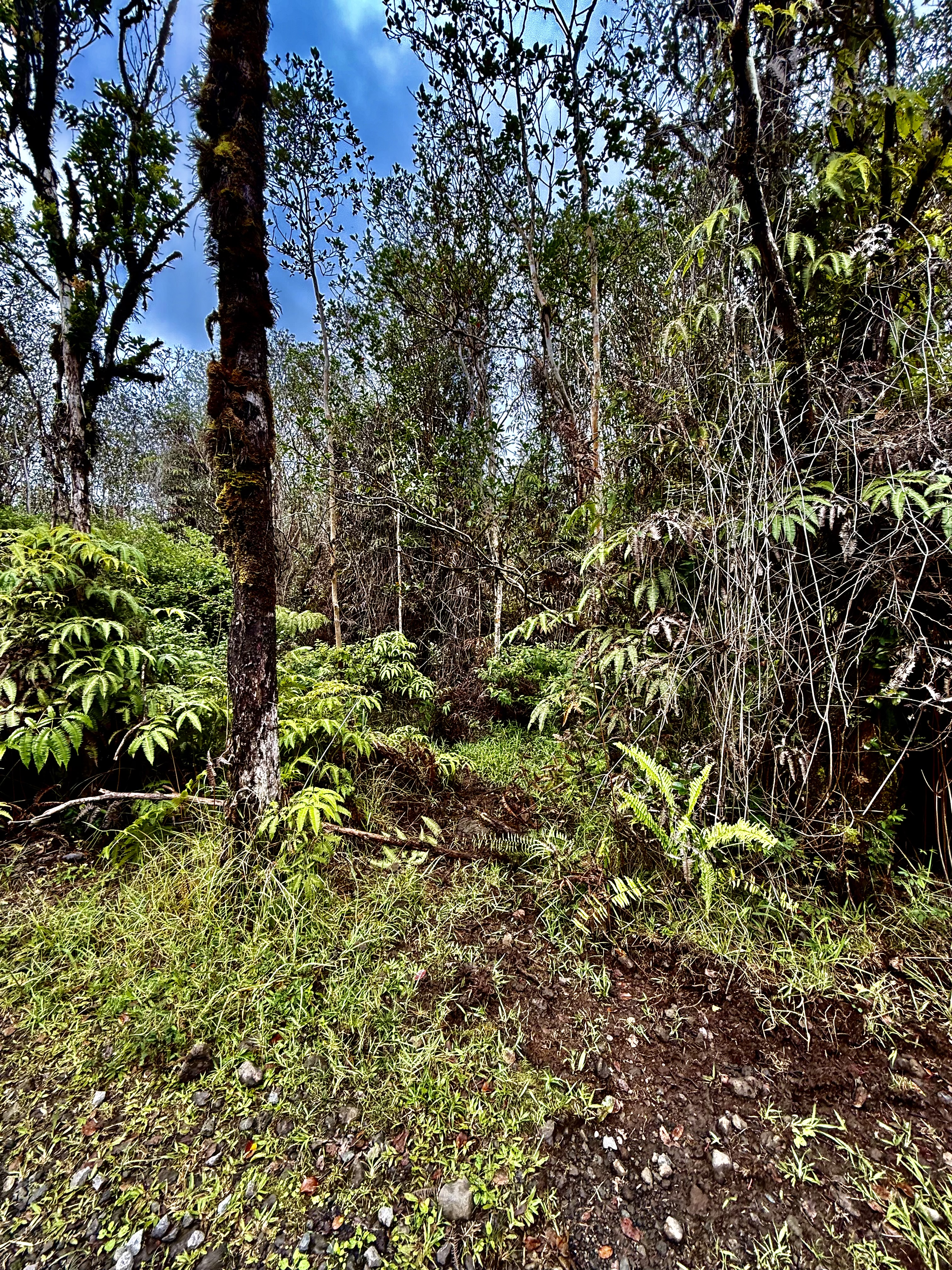 Road 9 Property Photo 2