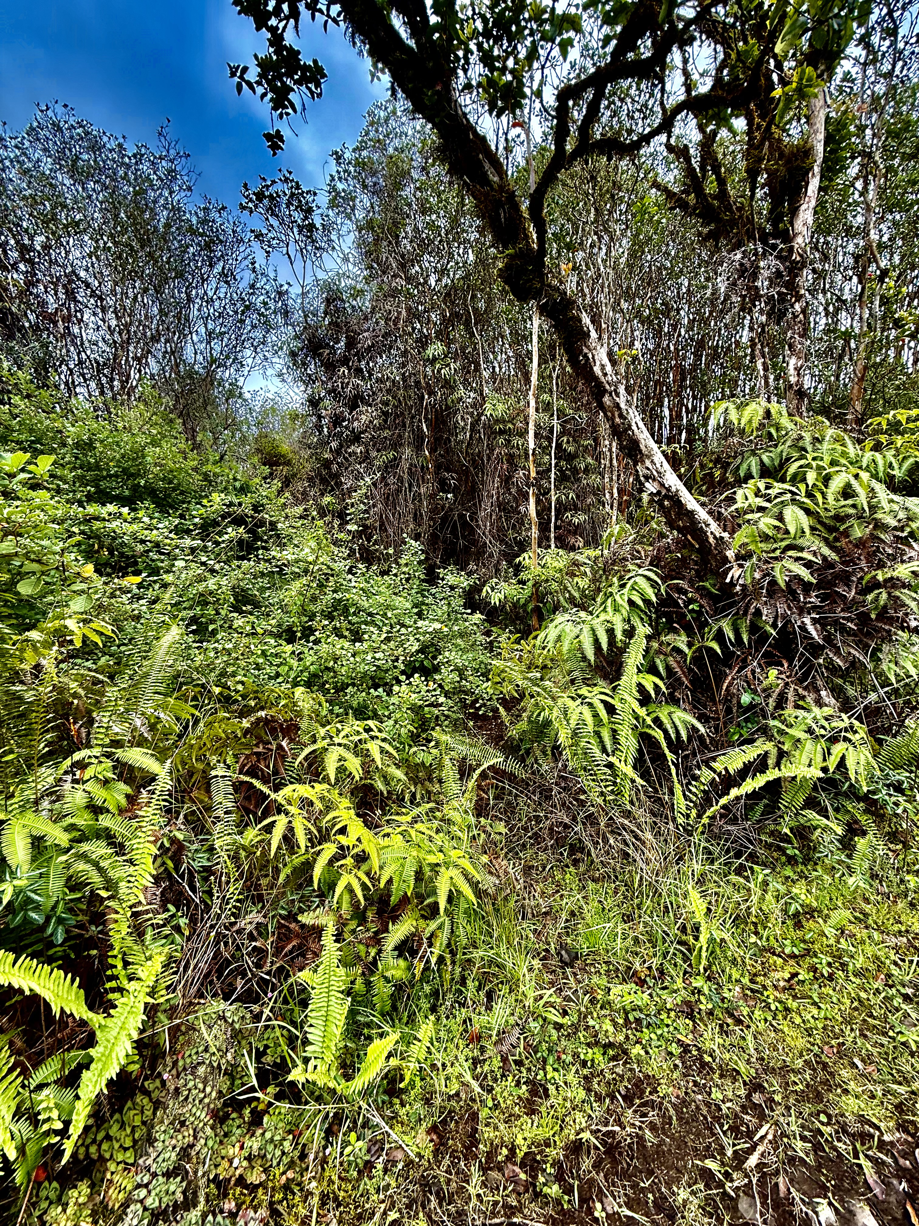 Road 9 Property Photo 3