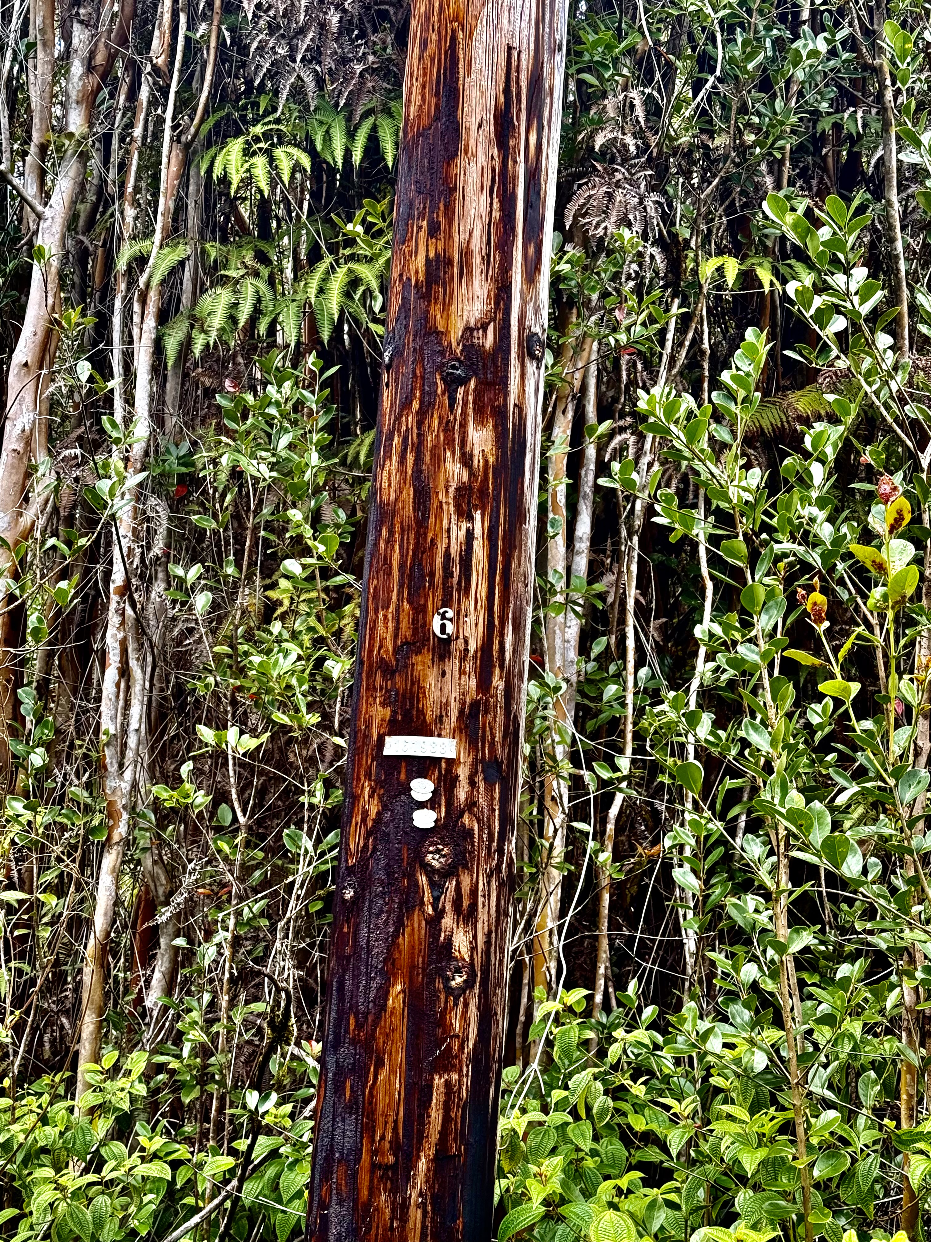 Road 9 Property Photo 4