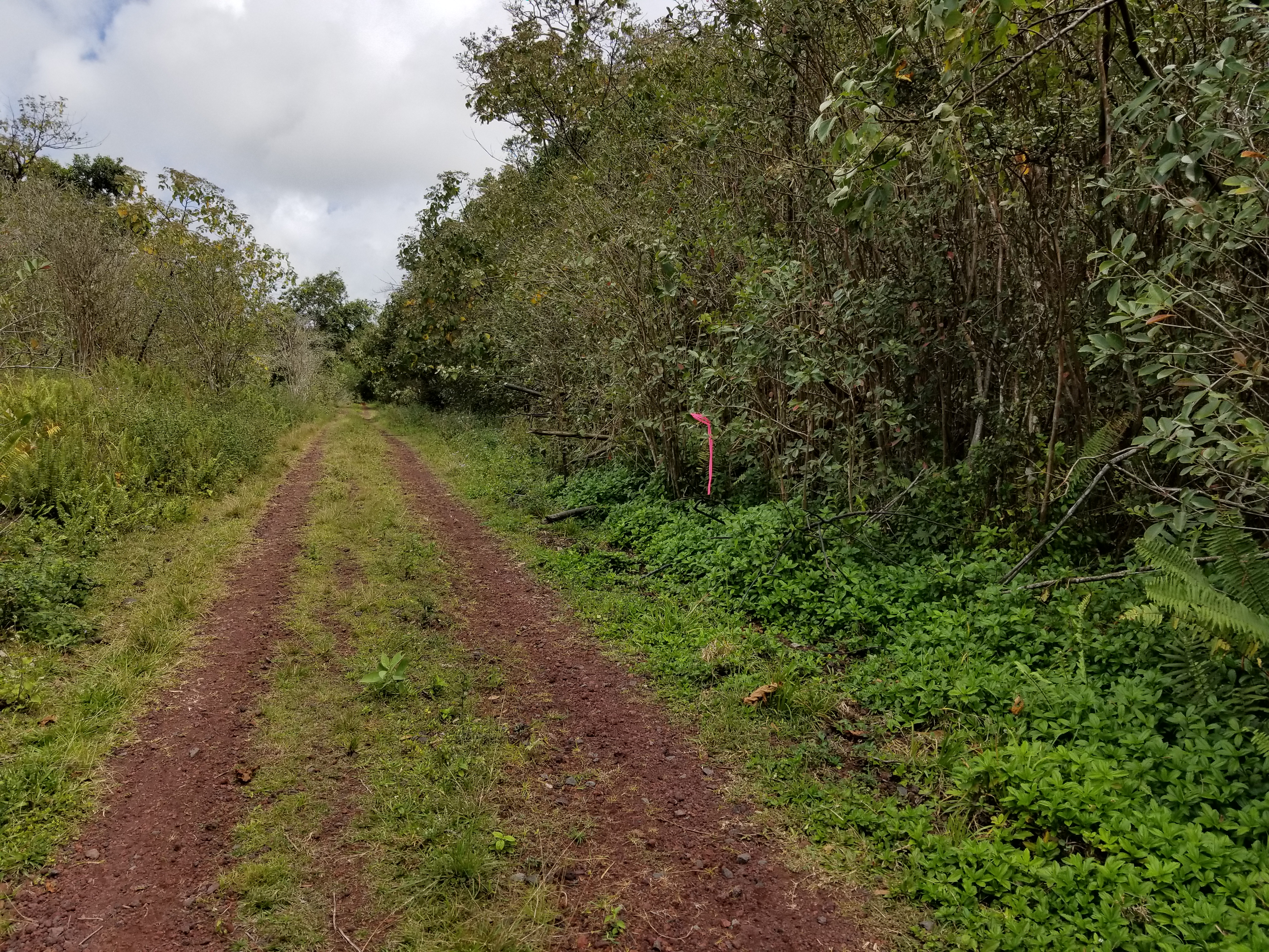 Hoonone Rd Property Photo 3