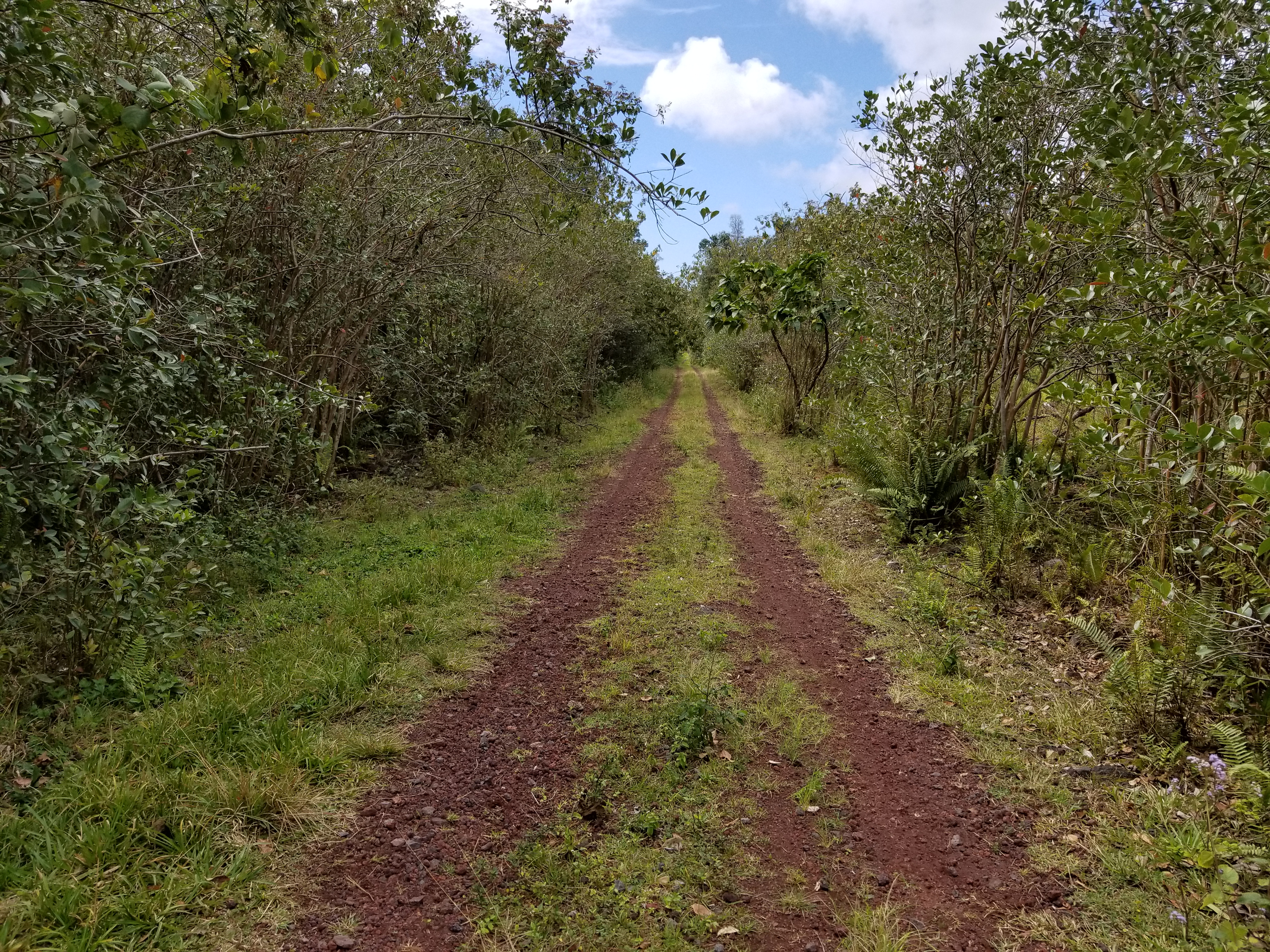 Hoonone Rd Property Photo 4