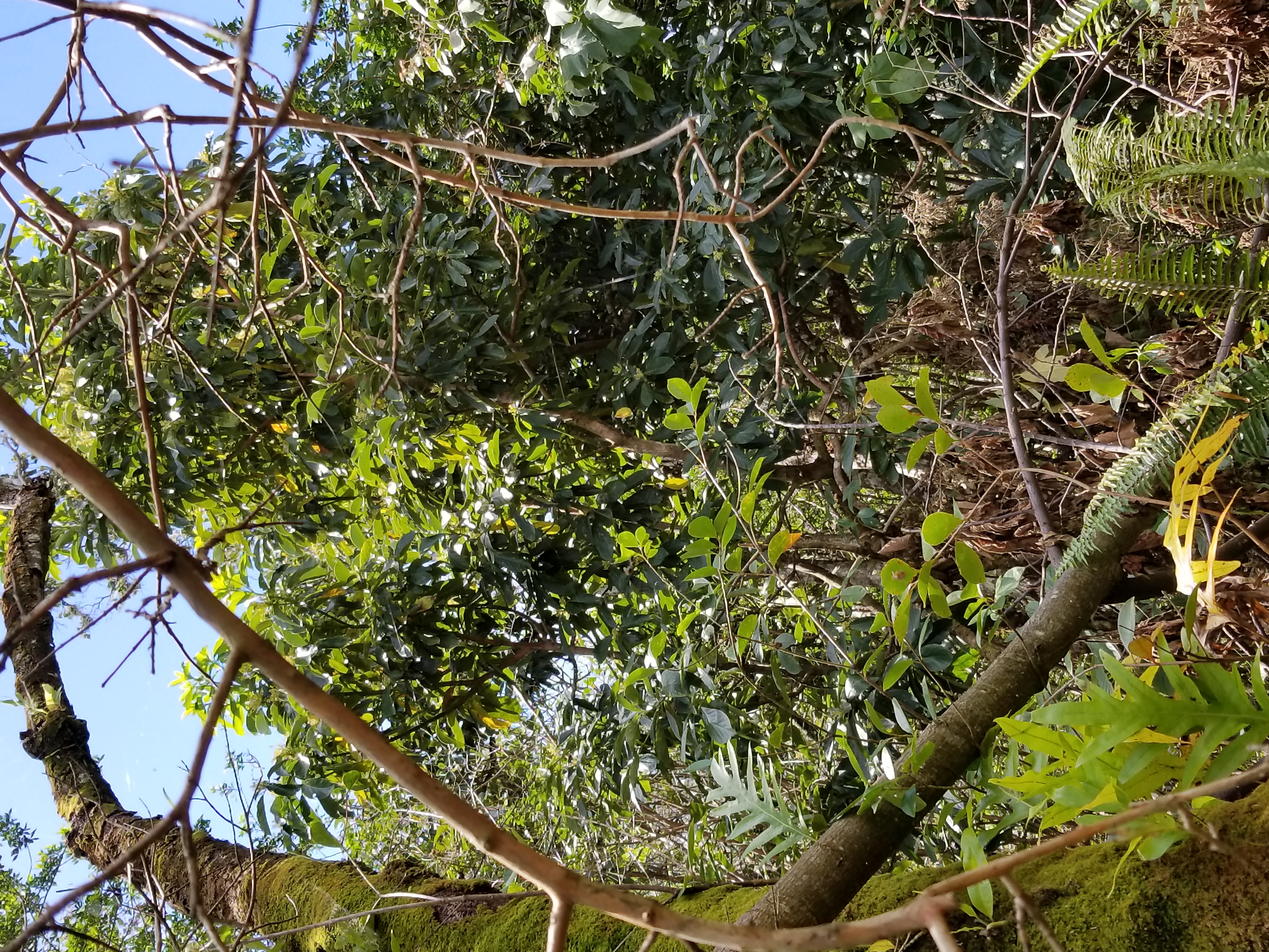 Hoonone Rd Property Photo 9