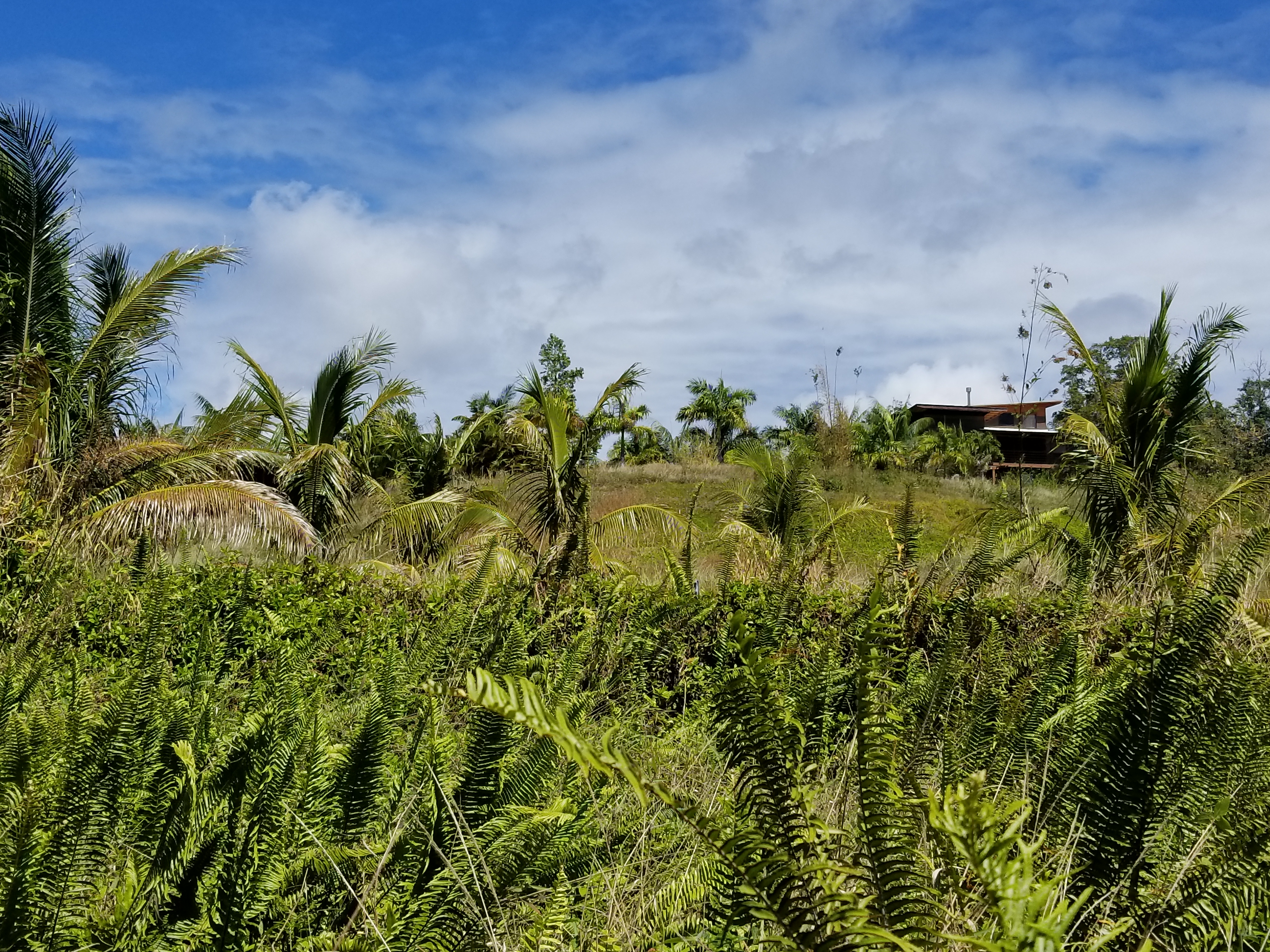 Hoonone Rd Property Photo 10