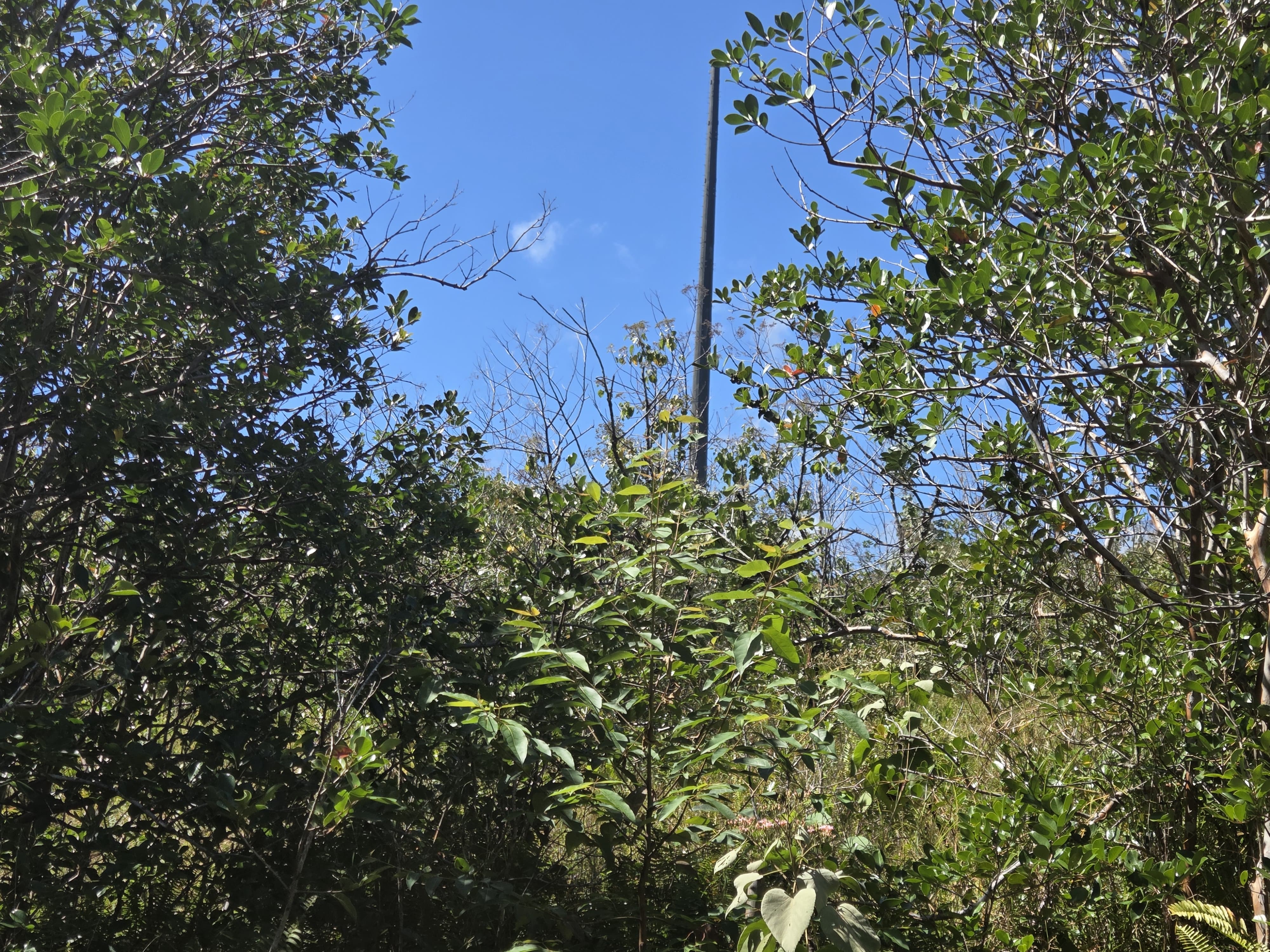 Hoonone Rd Property Photo 16