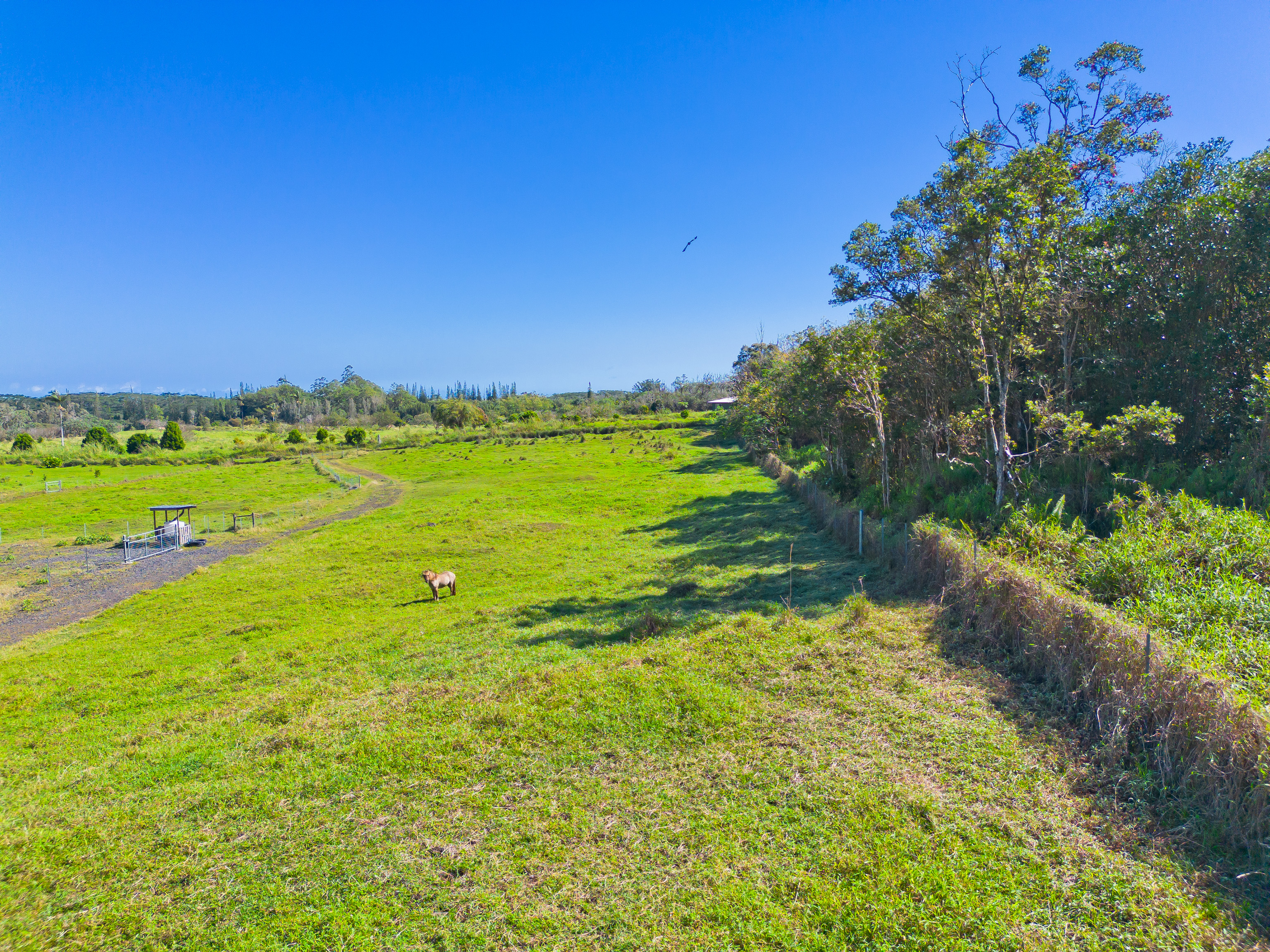 15-1076 Middle Road Property Photo 24