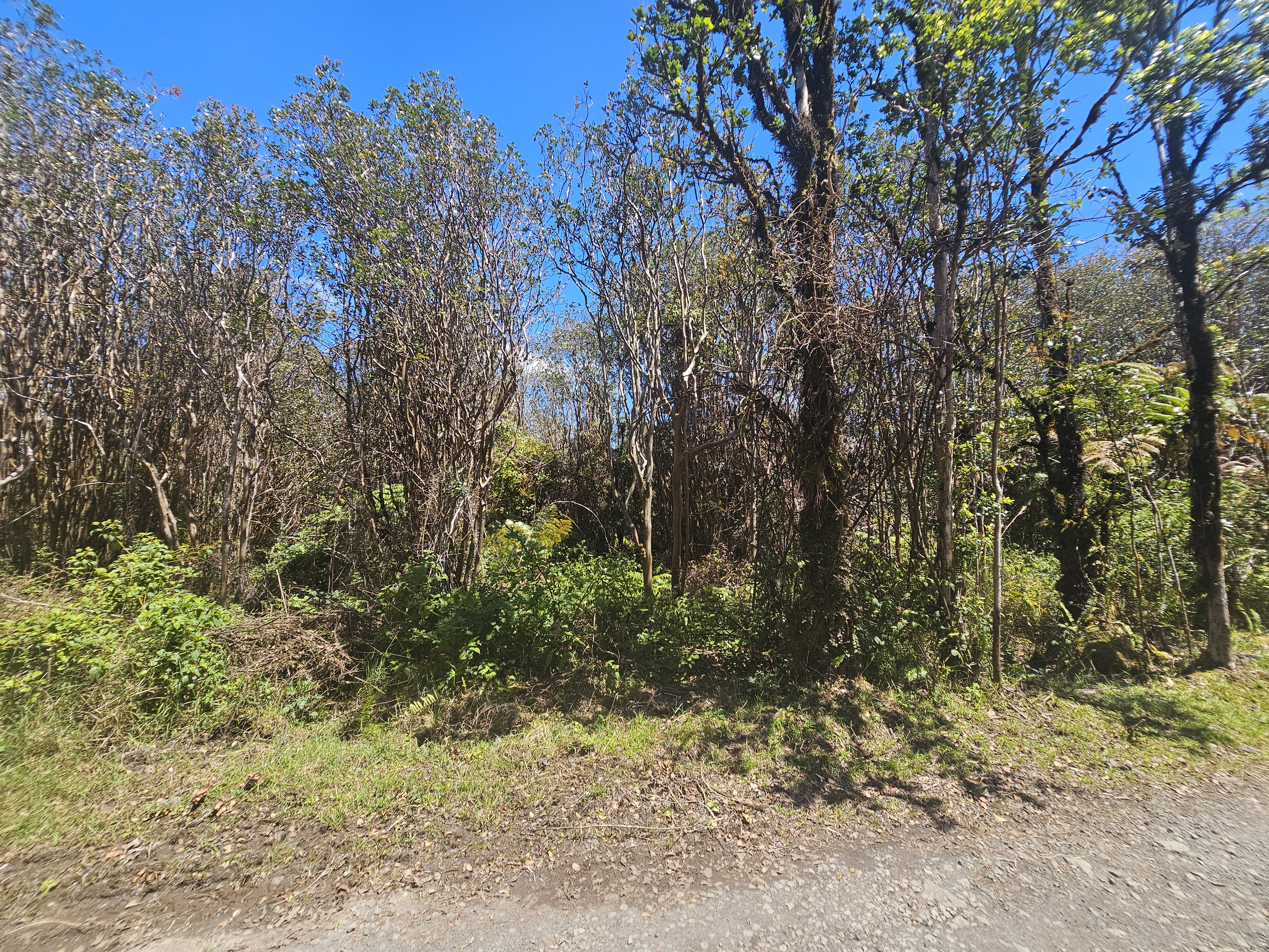 Road 9 Property Photo 1