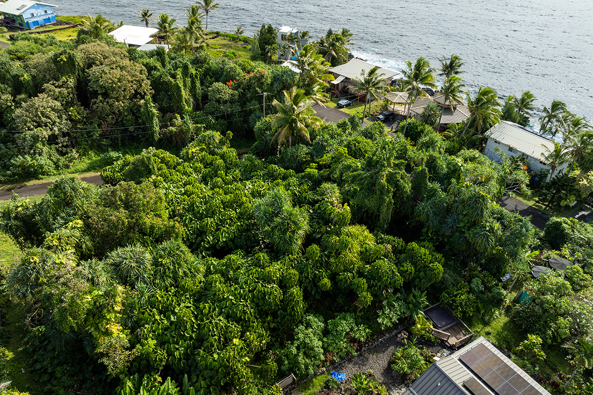 Kamakoa St Lot 20 Property Photo 12