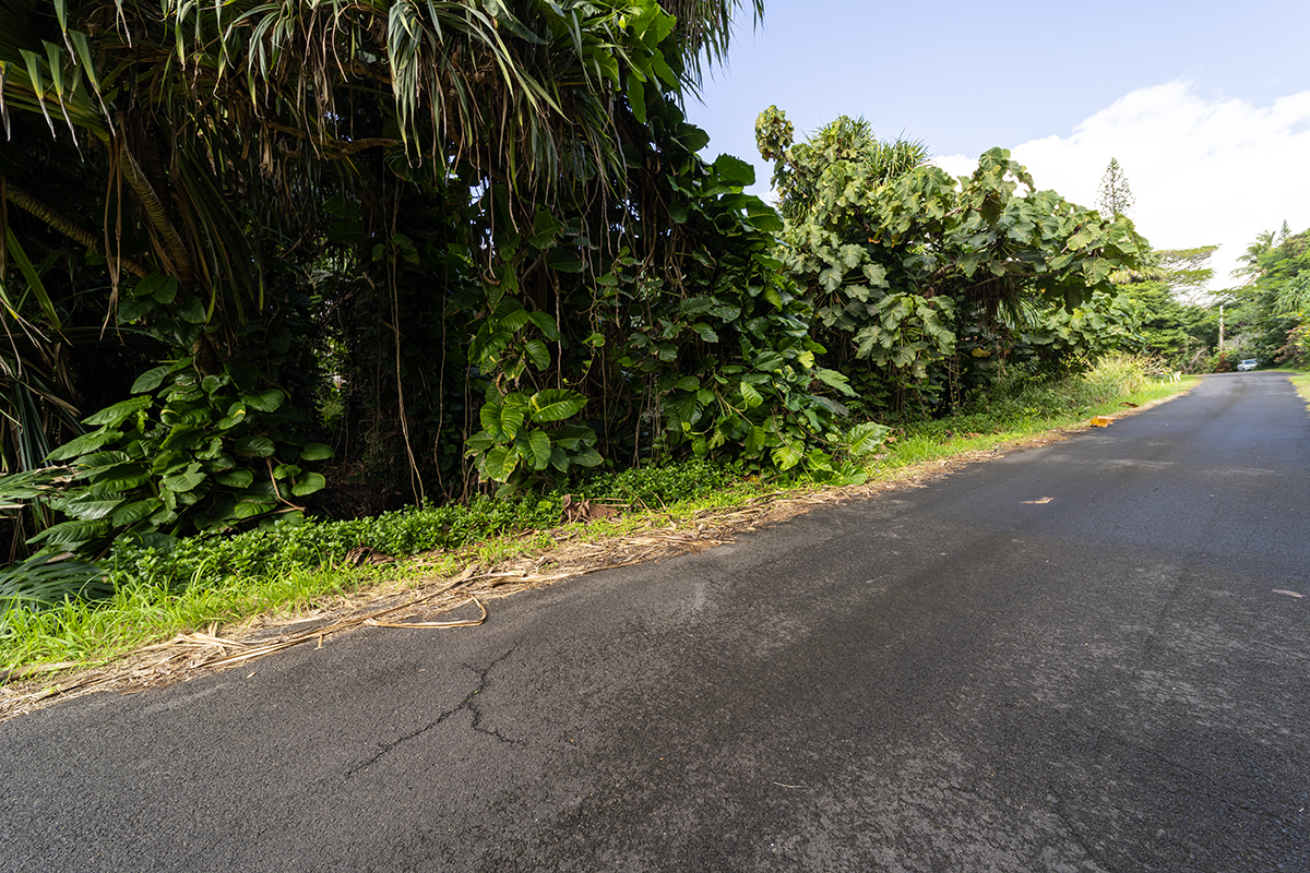 Kamakoa St Lot 20 Property Photo 14
