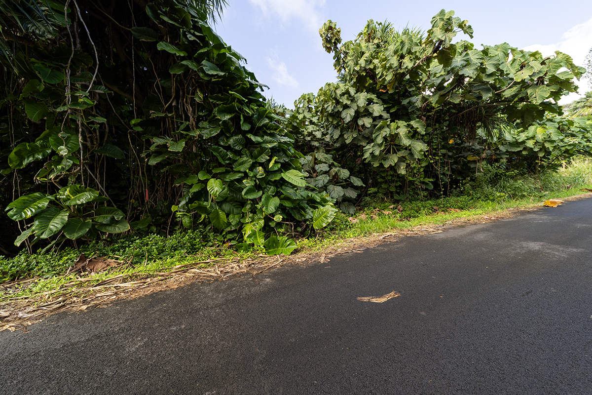 Kamakoa St Lot 20 Property Photo 15