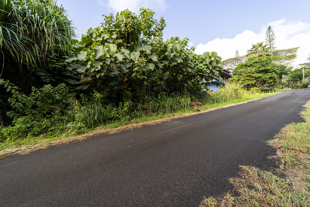 Kamakoa St Lot 20 Property Photo 16
