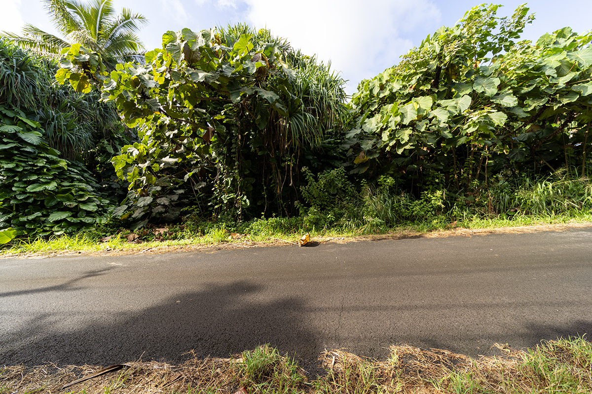 Kamakoa St Lot 20 Property Photo 17