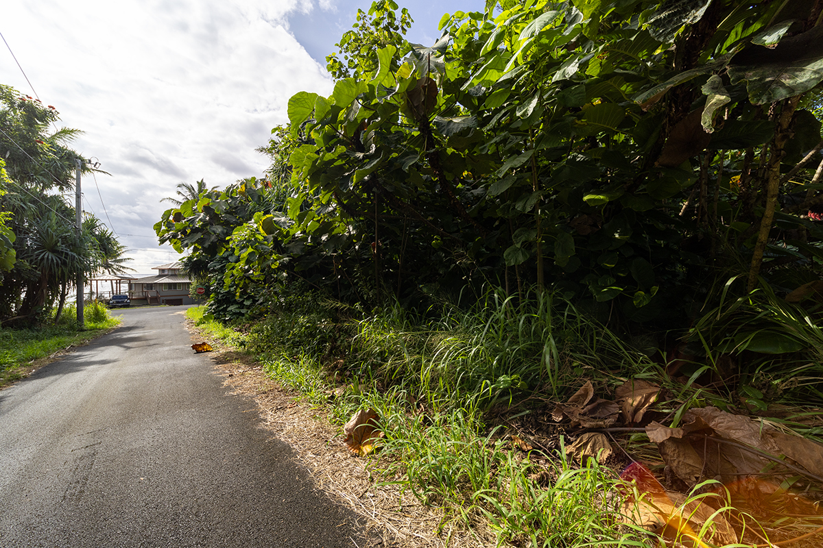 Kamakoa St Lot 20 Property Photo 18