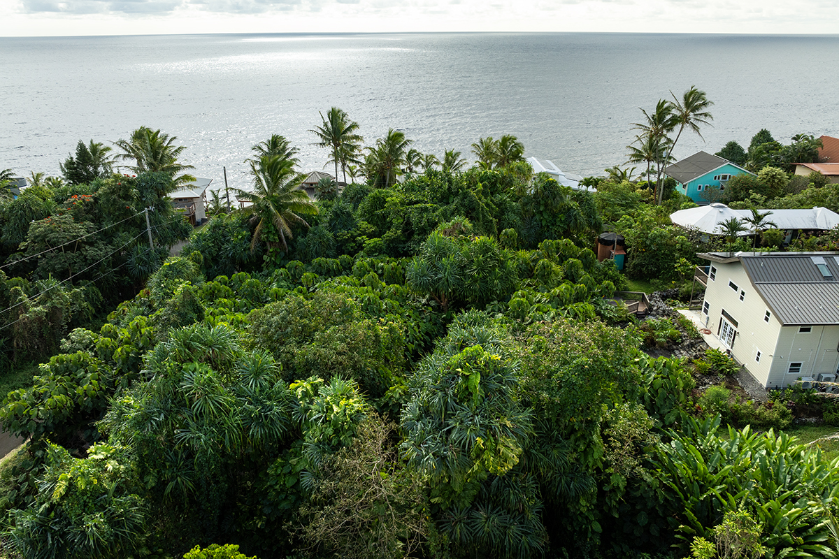 Kamakoa St Lot 19 Property Photo 4