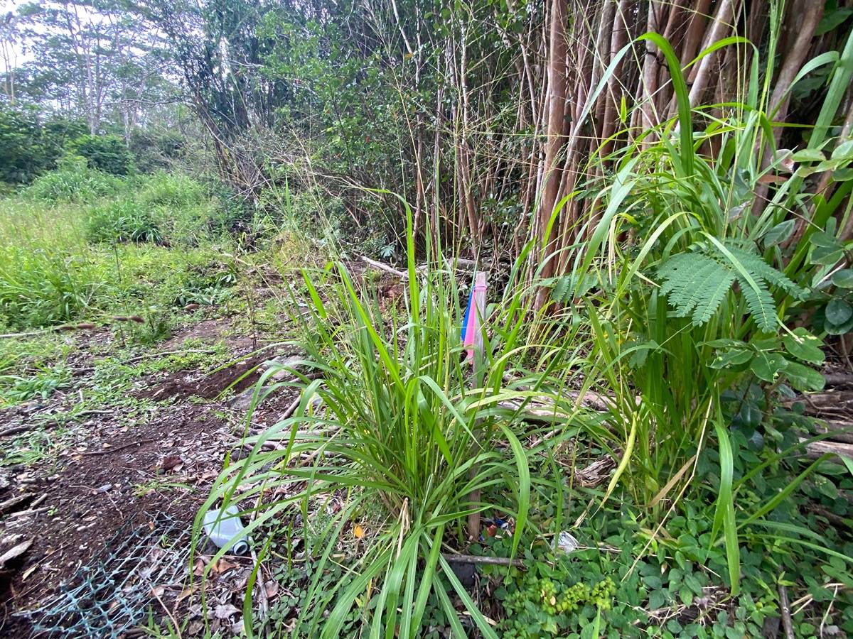 Diamond Head Dr Property Photo 1
