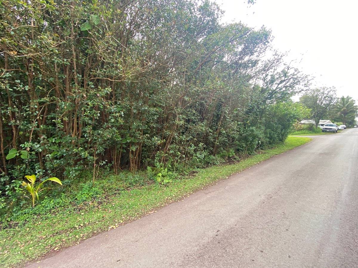 Diamond Head Dr Property Photo 3