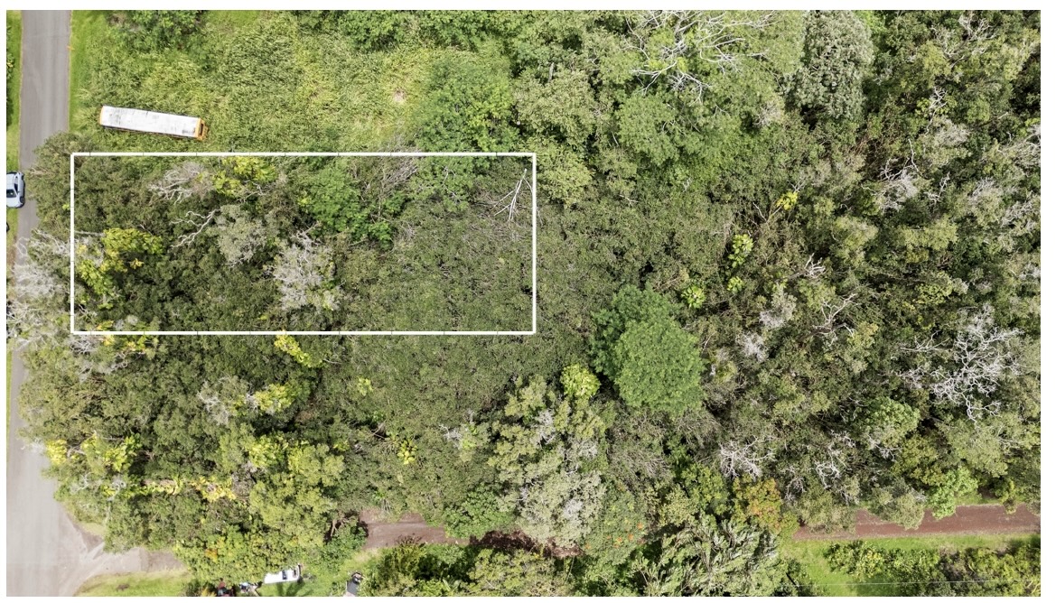 Diamond Head Dr Property Photo 3
