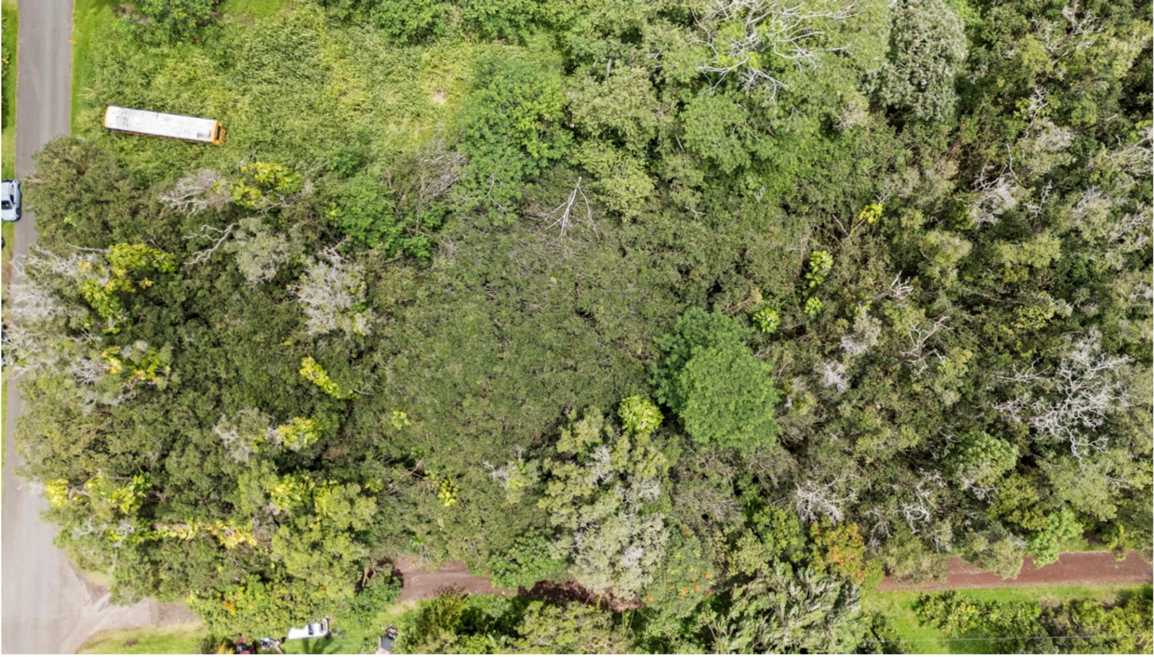 Diamond Head Dr Property Photo 3