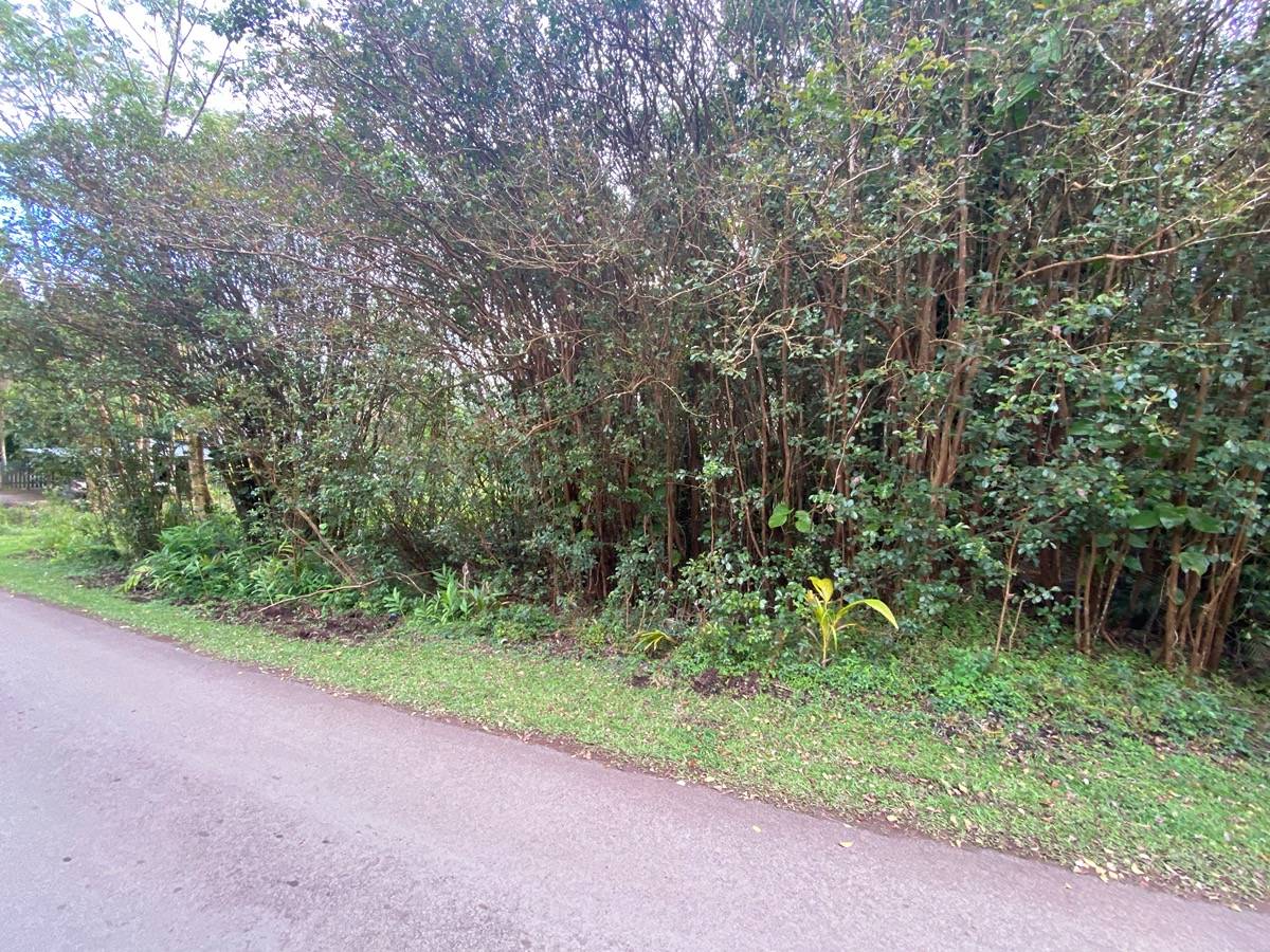 Diamond Head Dr Property Photo 6