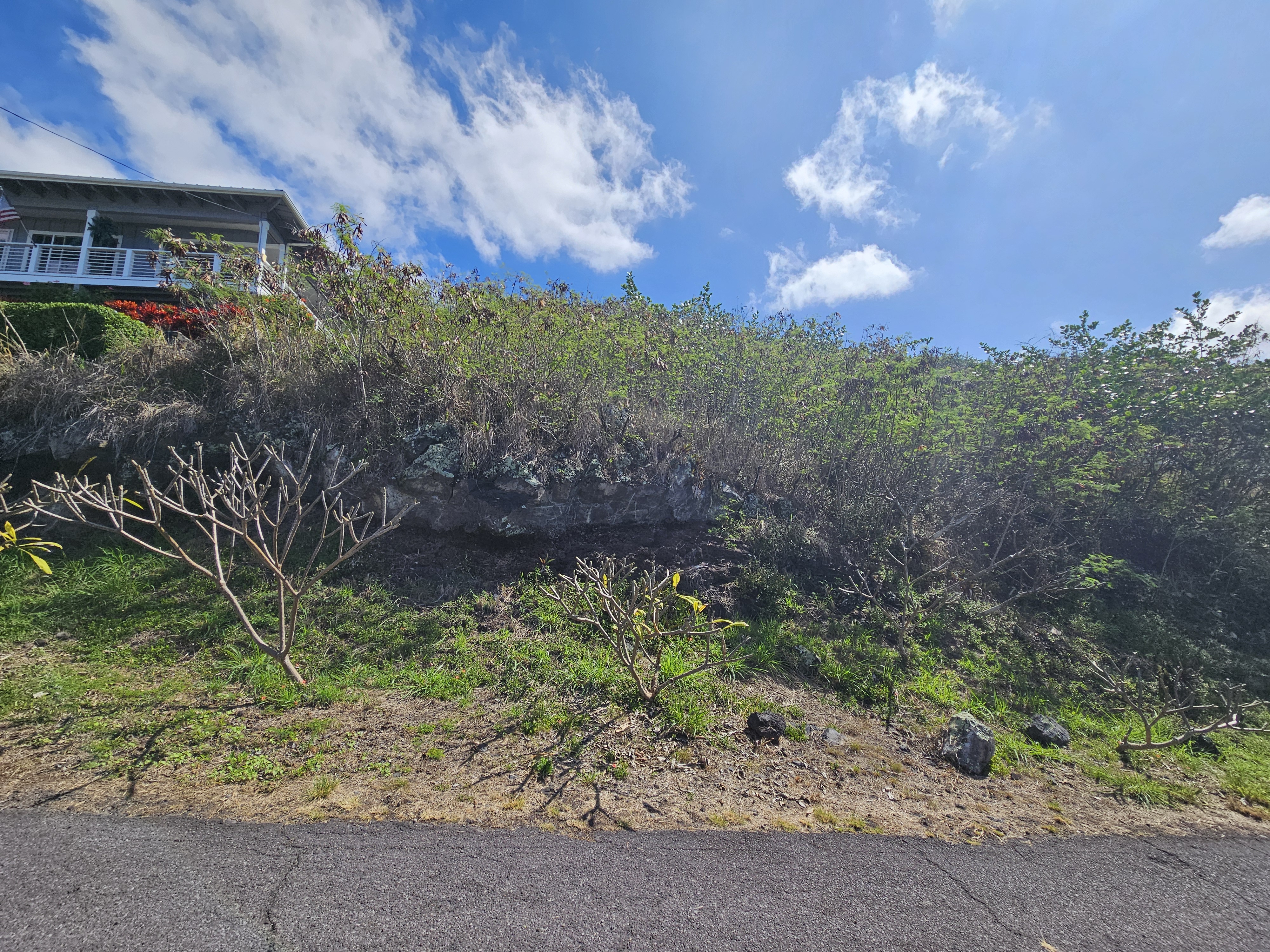Fern Rd Property Photo 6