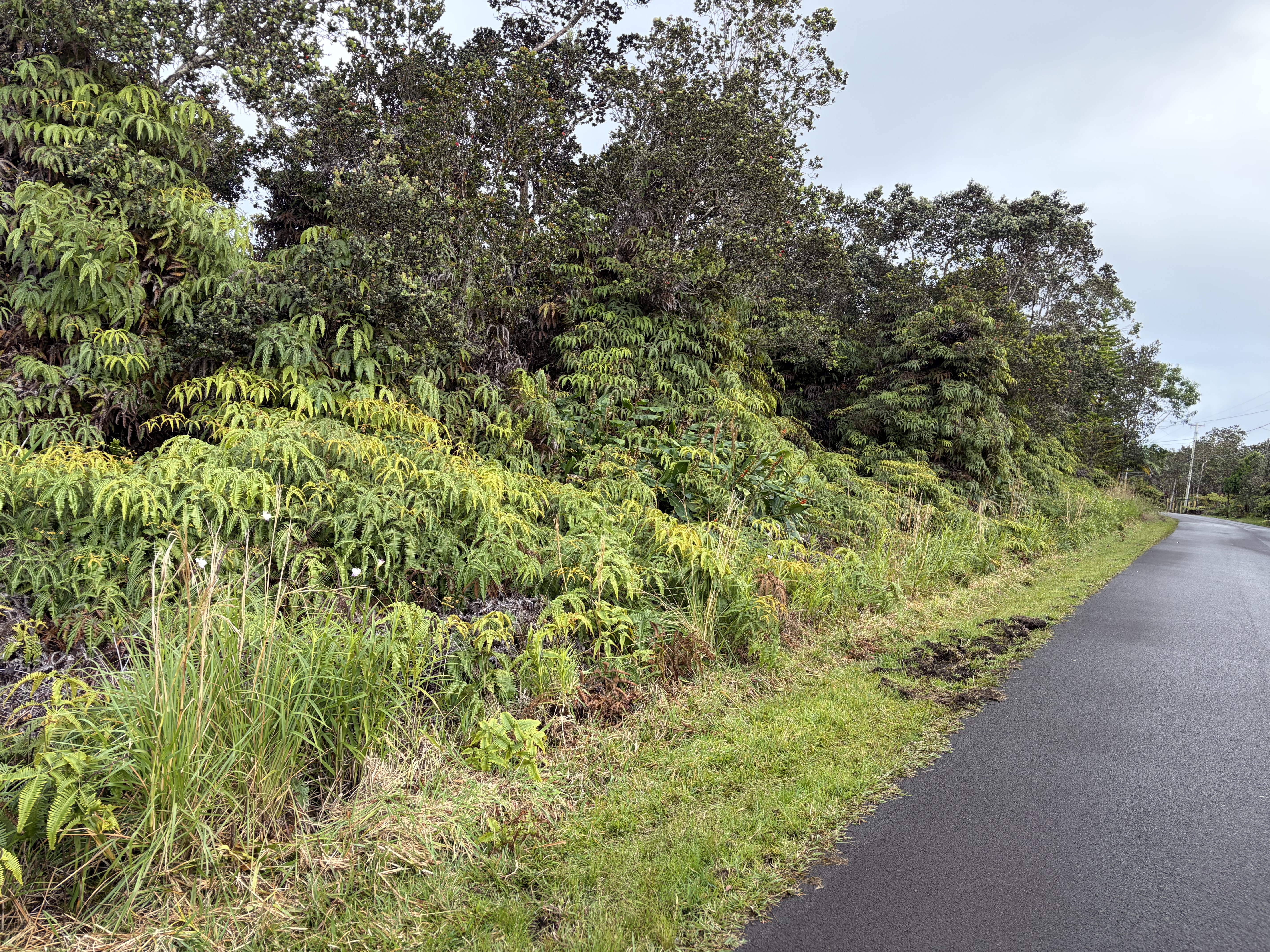 Nahelenani St Property Photo 1