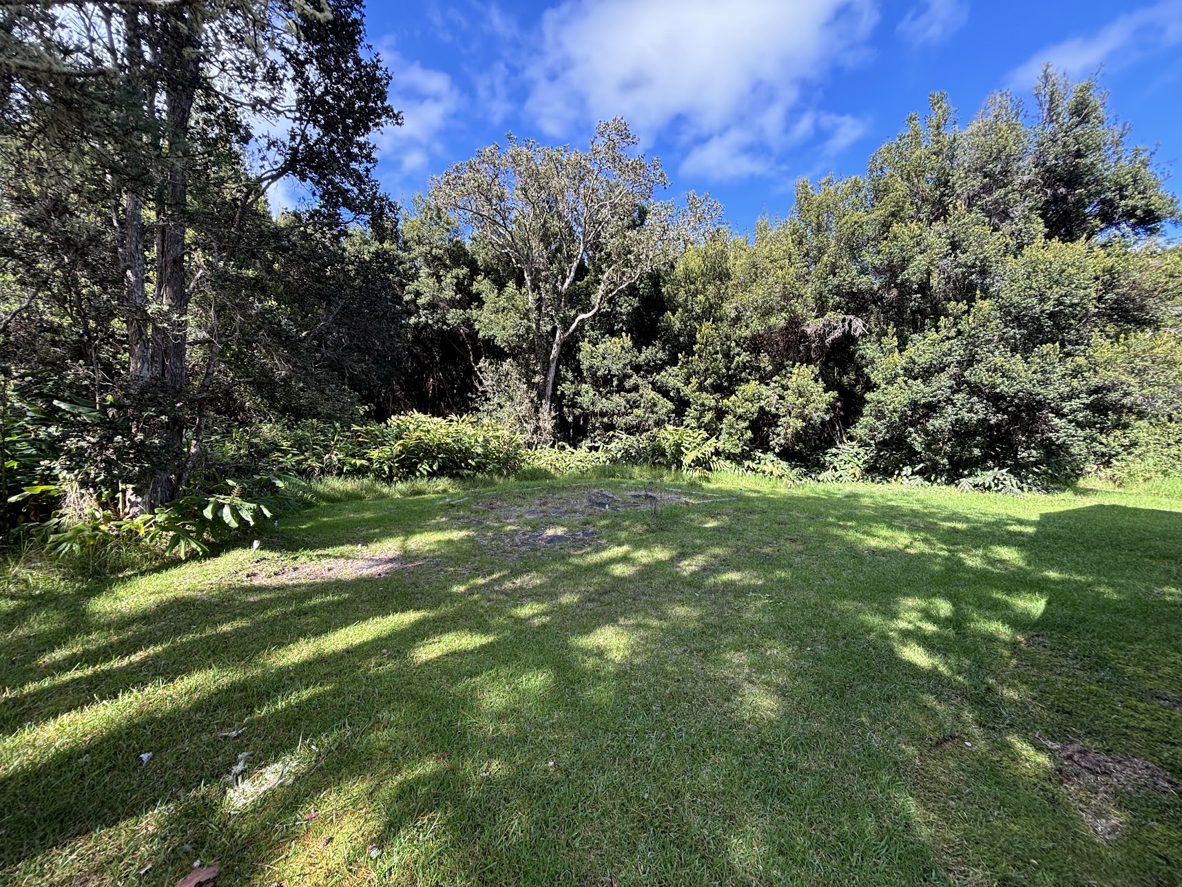 99-7736 Uluhe Pl Property Photo 23