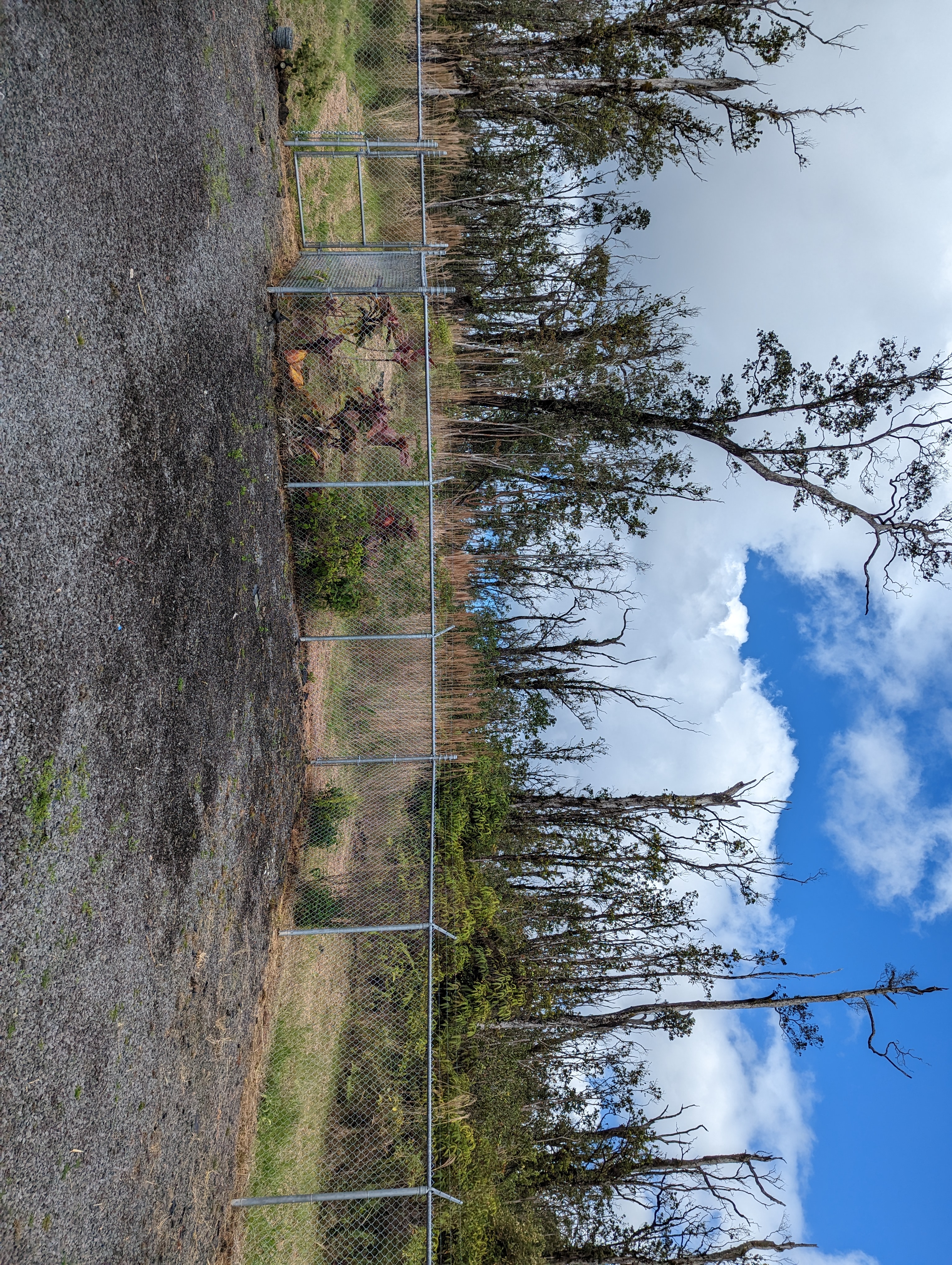 11-2004 Kokokahi Rd Property Photo 19