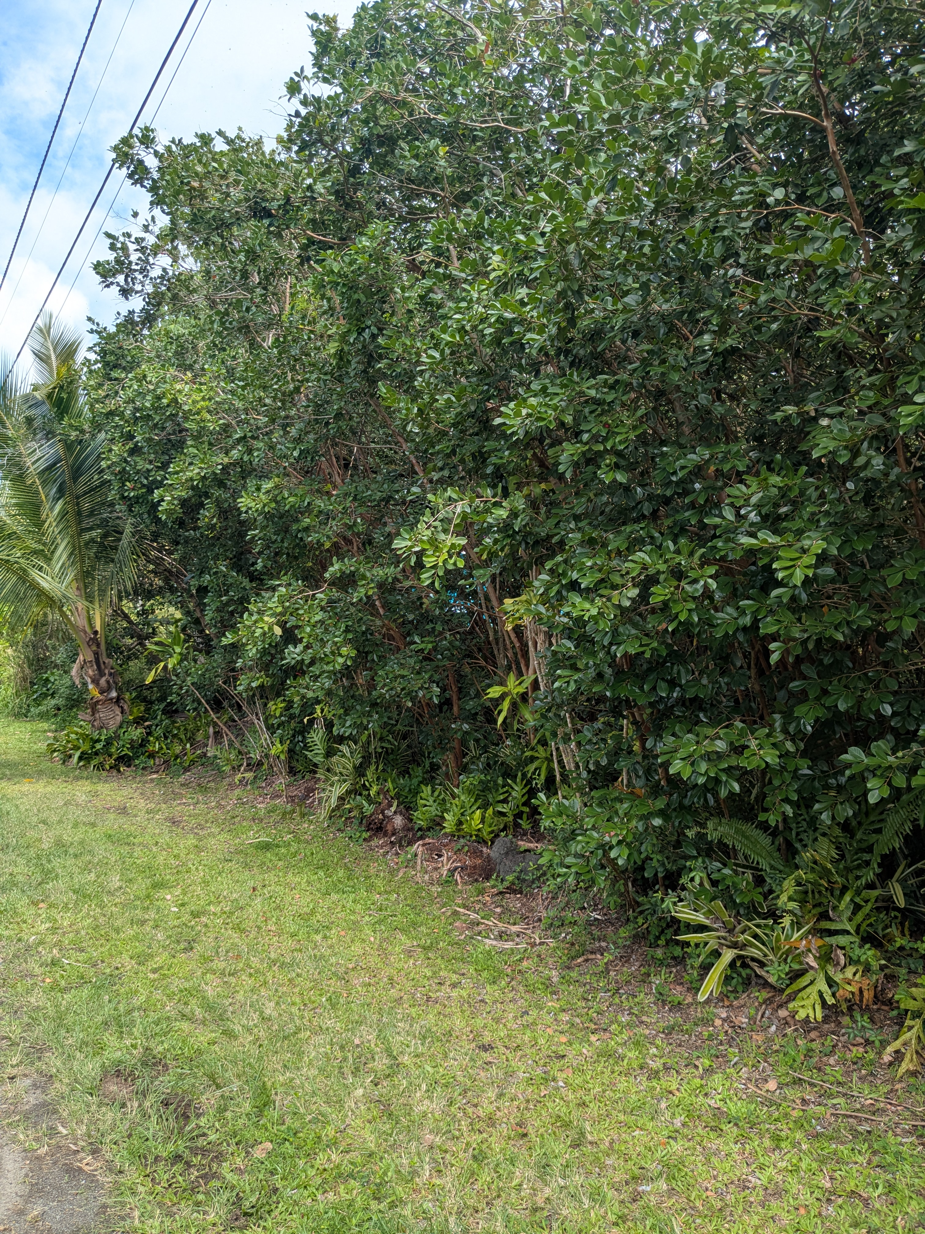 12-262 Pohakupele Loop Property Photo 1