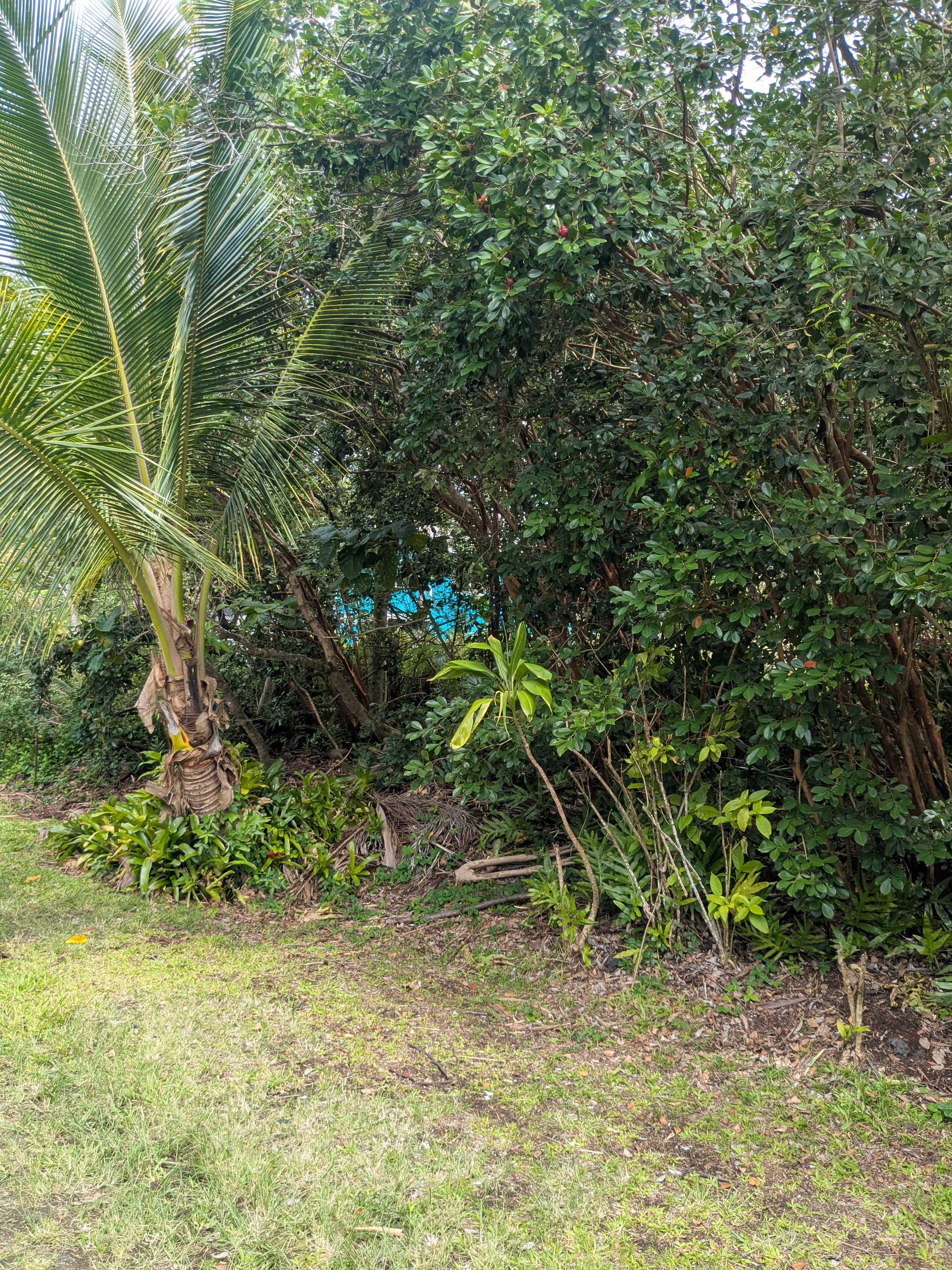 12-262 Pohakupele Loop Property Photo 2